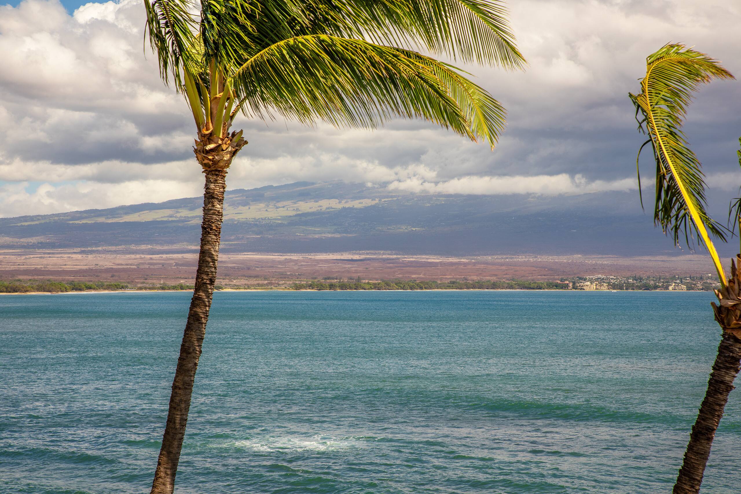 Condo in Wailuku · ★4.74 · 2 bedrooms · 4 beds · 2 baths - Image 60