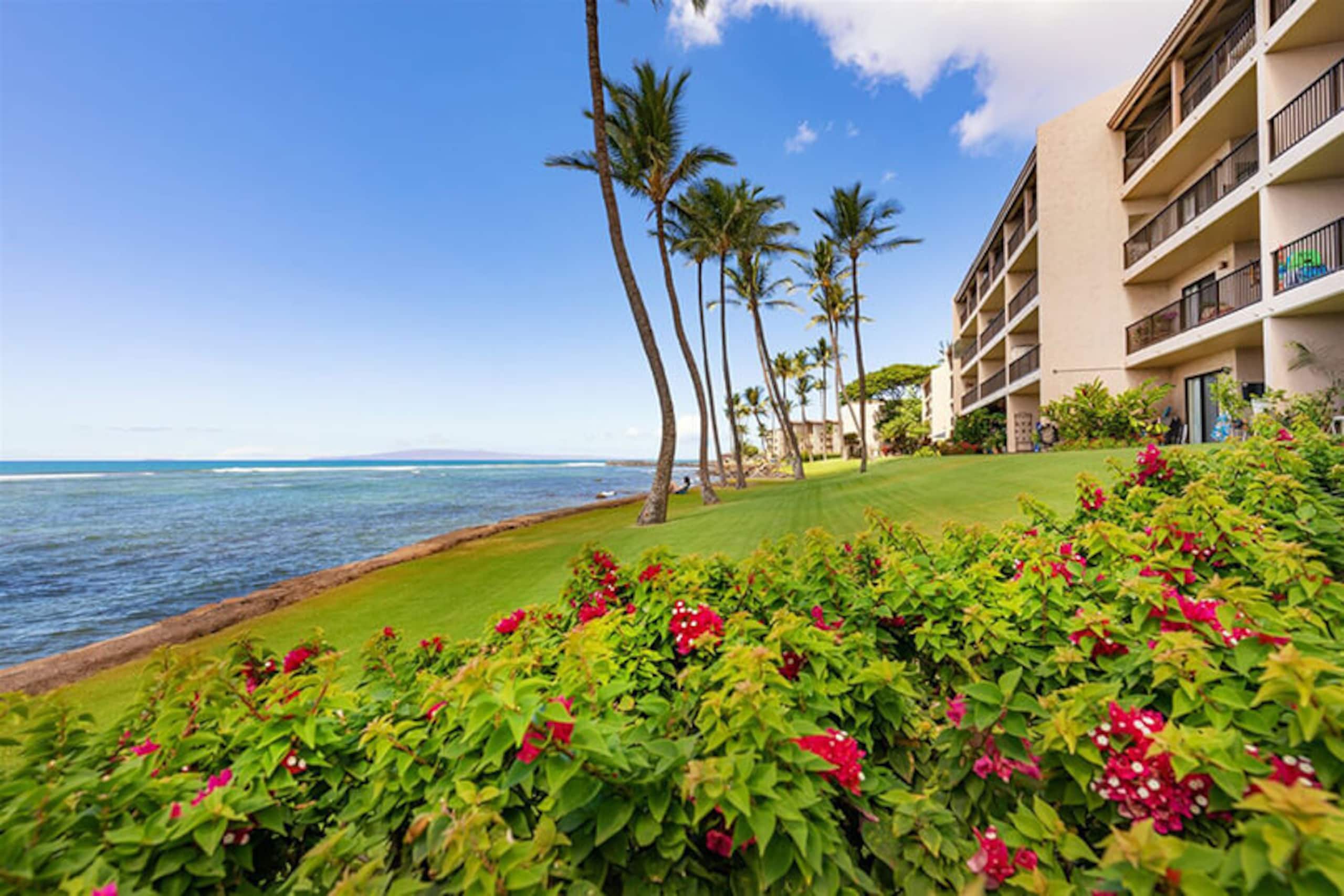 Condo in Wailuku · ★4.97 · 2 bedrooms · 2 beds · 2 baths - Image 33