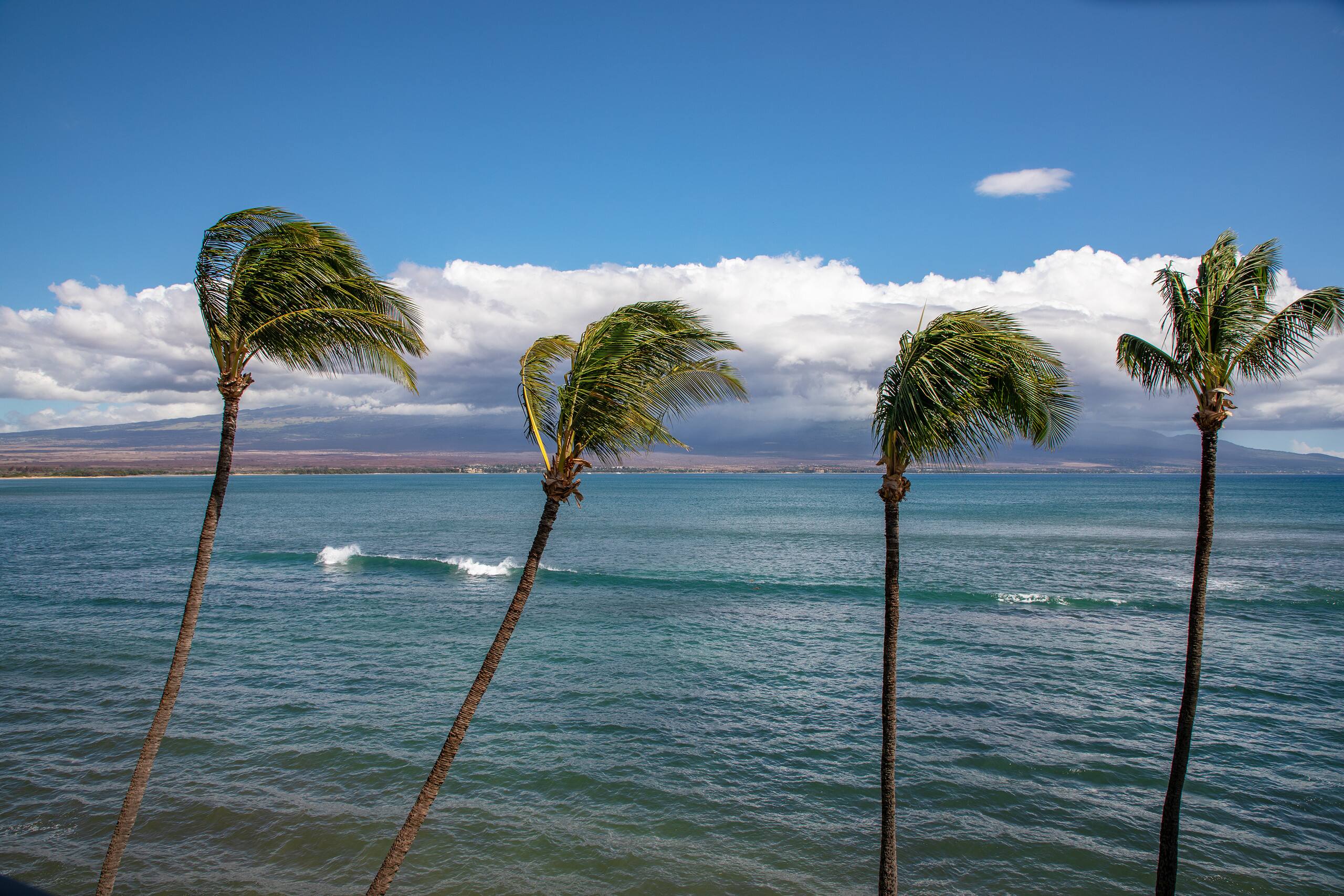 Condo in Wailuku · ★4.97 · 2 bedrooms · 2 beds · 2 baths - Image 45