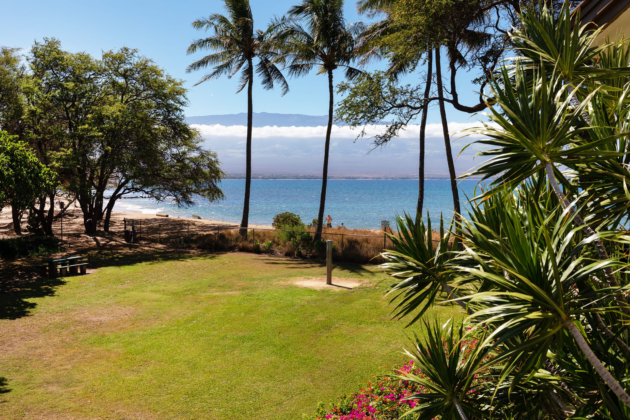 Condo in Wailuku · ★4.75 · 2 bedrooms · 2 beds · 2 shared baths - Image 3
