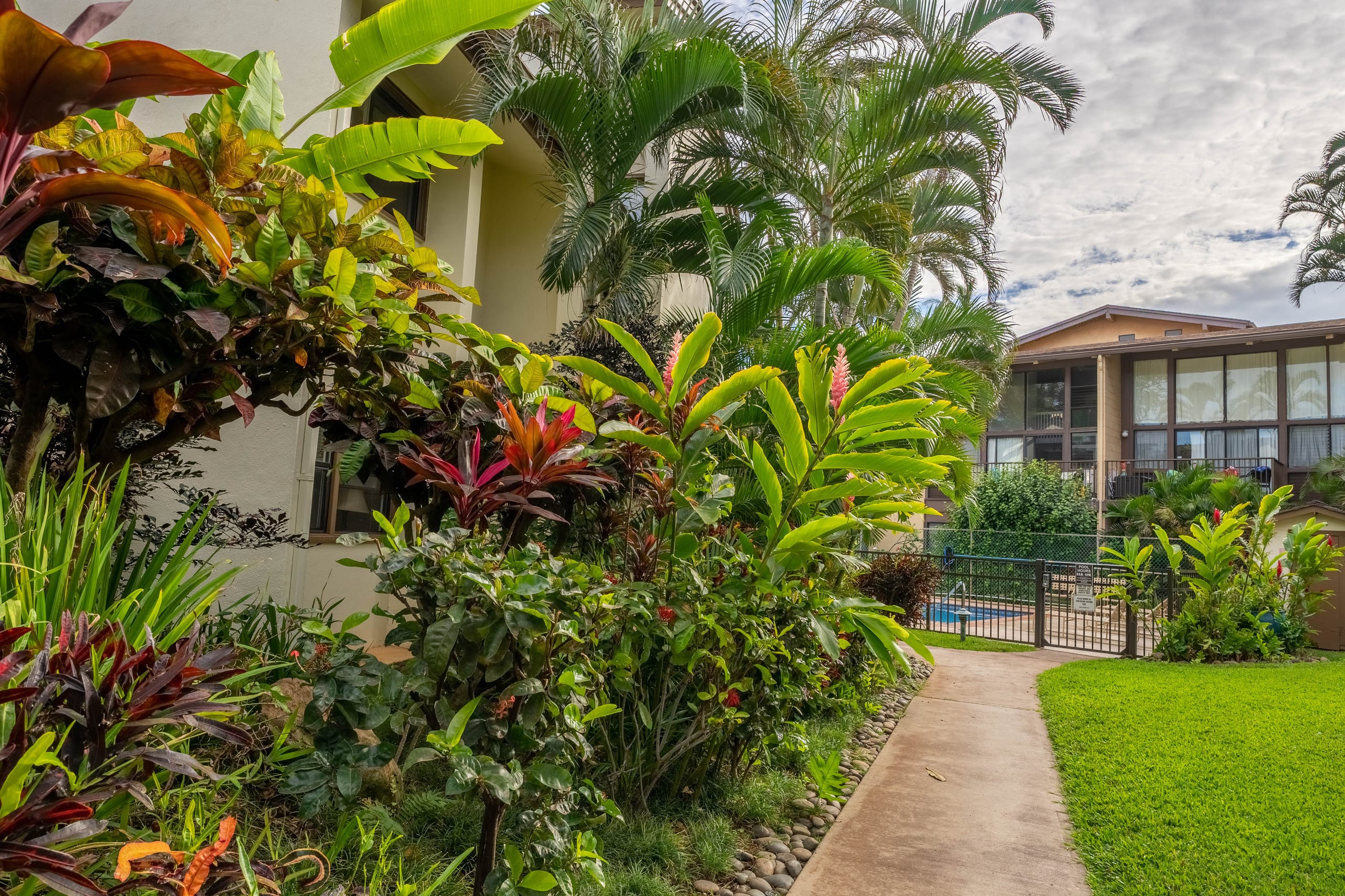 Condo in Wailuku · ★4.75 · 2 bedrooms · 2 beds · 2 shared baths - Image 36