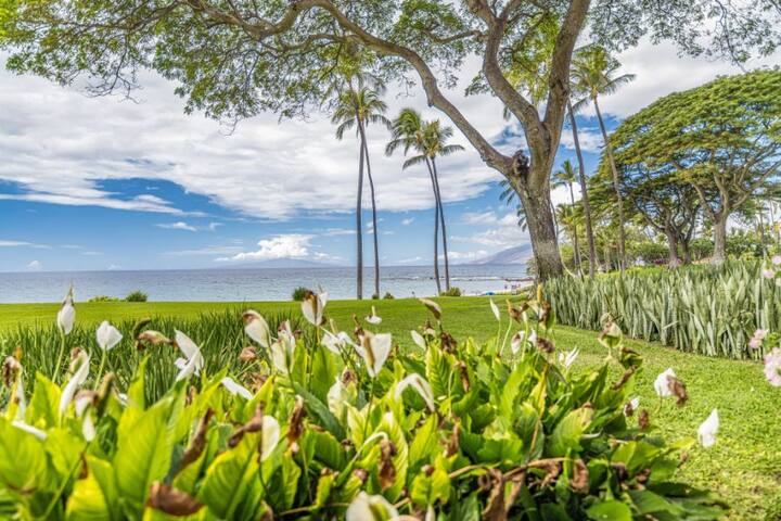 Prime Oceanfront 3Bd/3Ba Condo-Wailea Elua #1305 gallery image 4