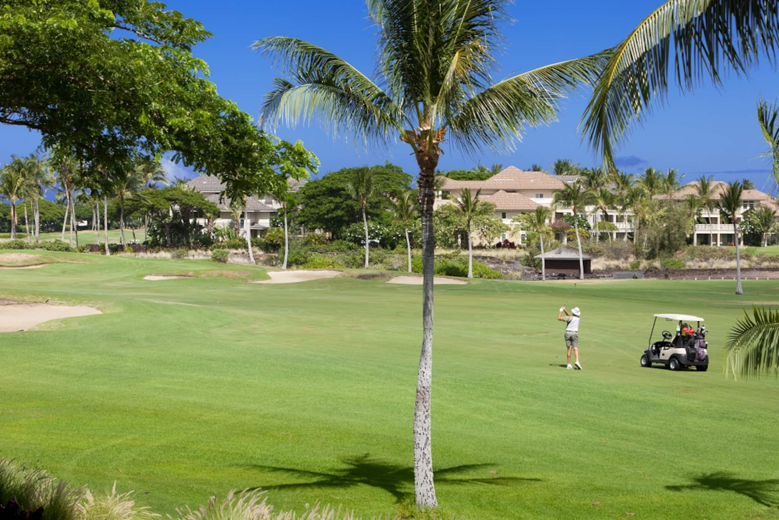 Hilton Pool Pass for 2026 and Golf Discounts. L22 - Photo 23