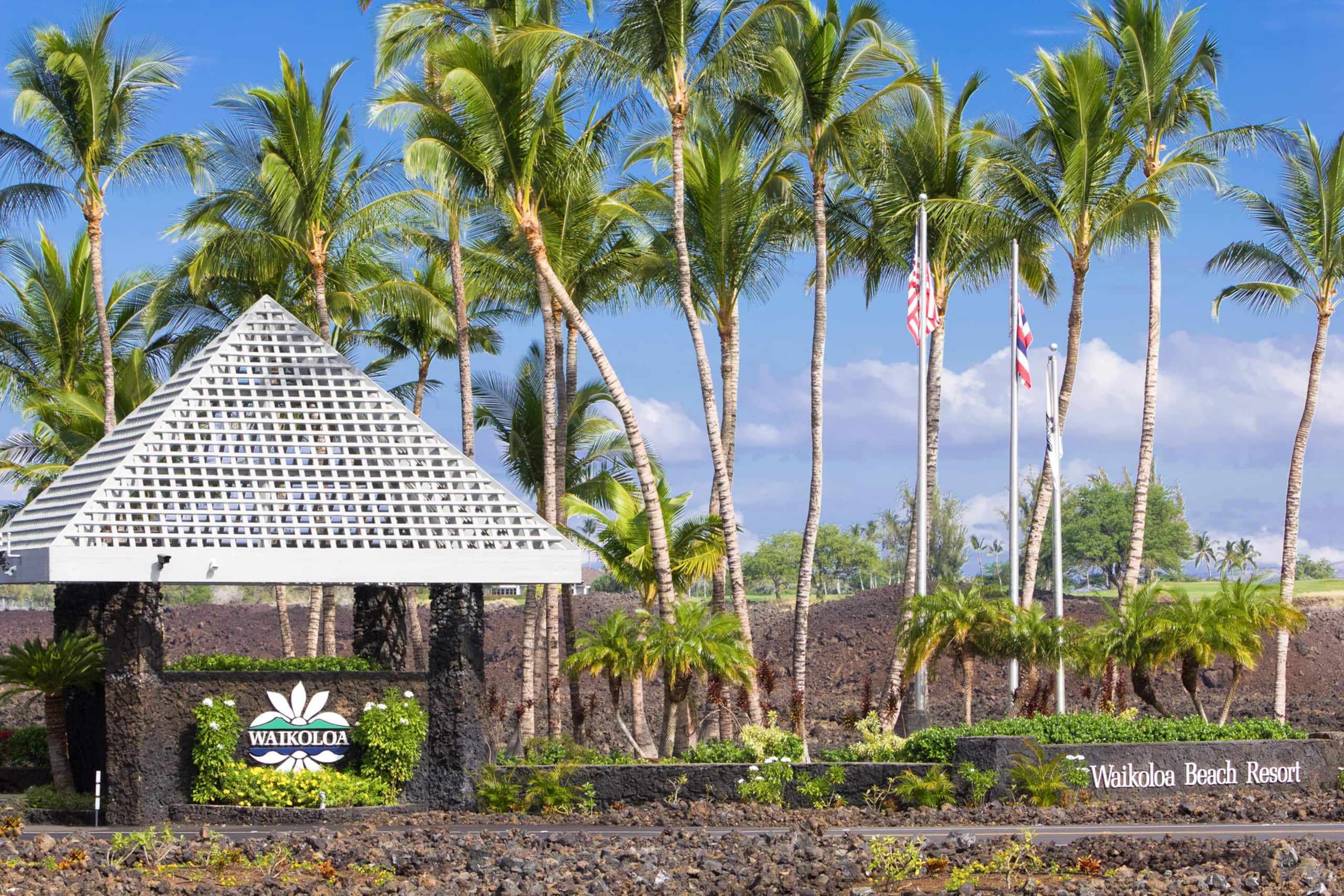 Hilton Pool Pass for 2026 and Golf Discounts. L22 - Photo 34
