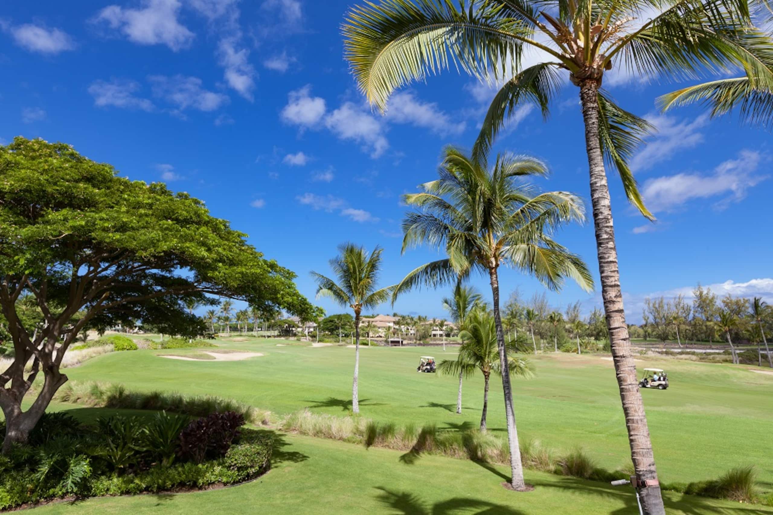 Hilton Pool Pass for 2026 and Golf Discounts. L22 - Photo 19