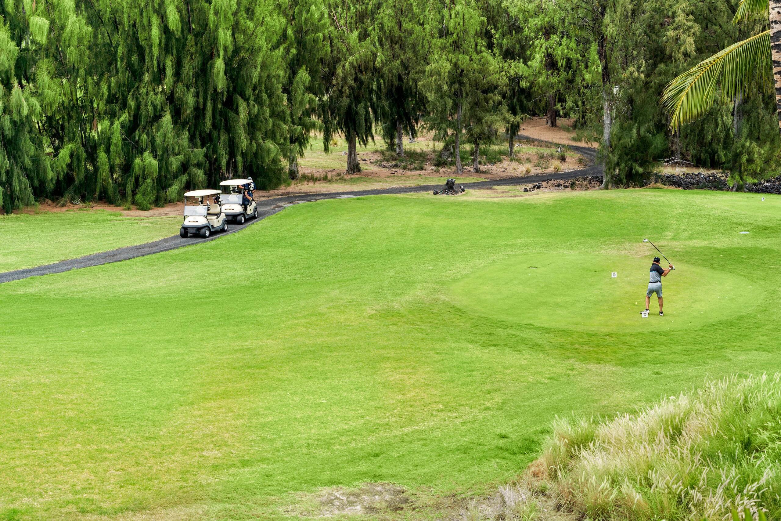 Villa in Waikoloa Village · ★4.8 · 2 bedrooms · 5 beds · 2 baths - Photo 6