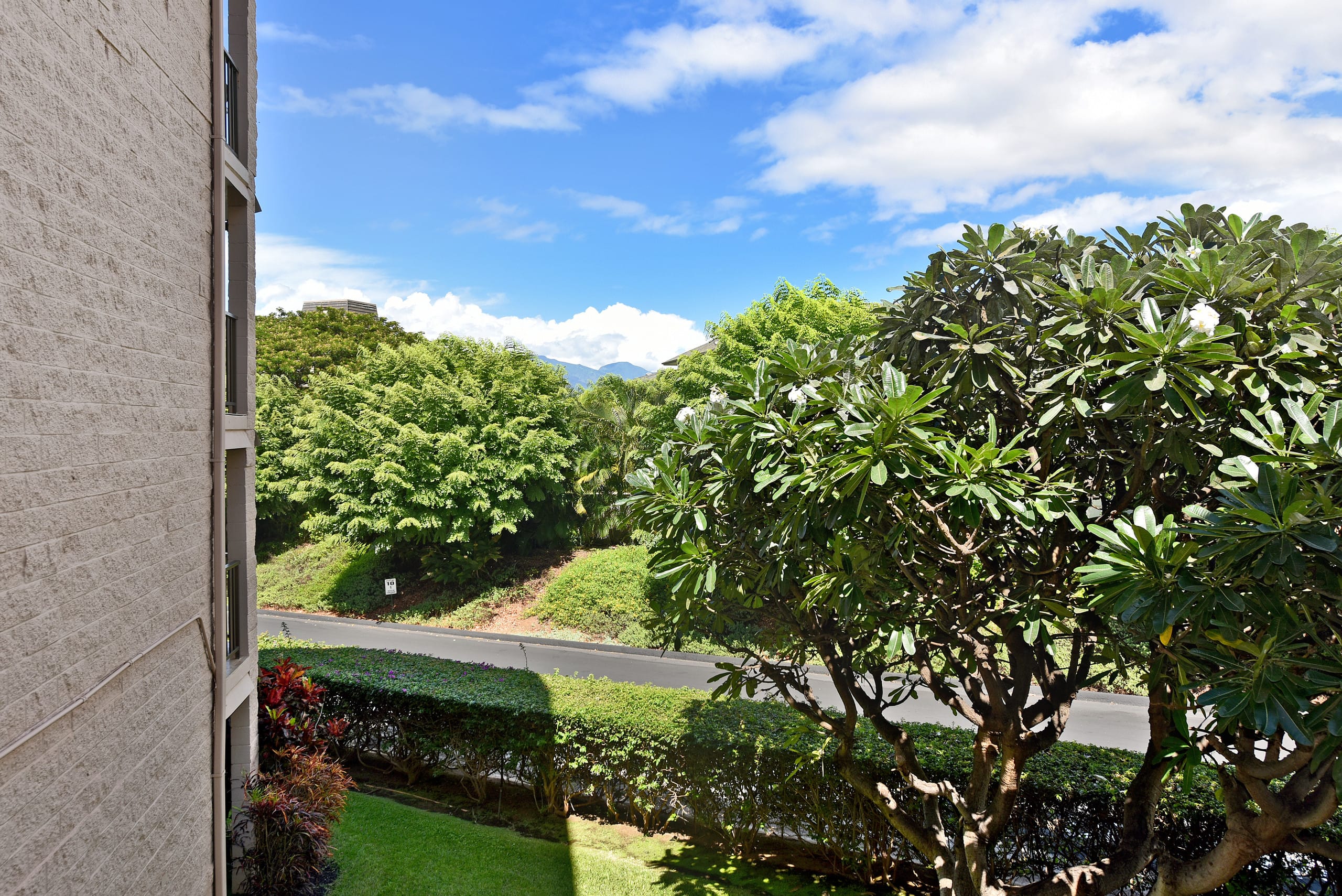 Condo in Kihei · ★4.64 · 1 bedroom · 2 beds · 1 bath - Image 34