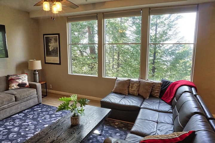 放松身心，感受住在树顶上的感觉。