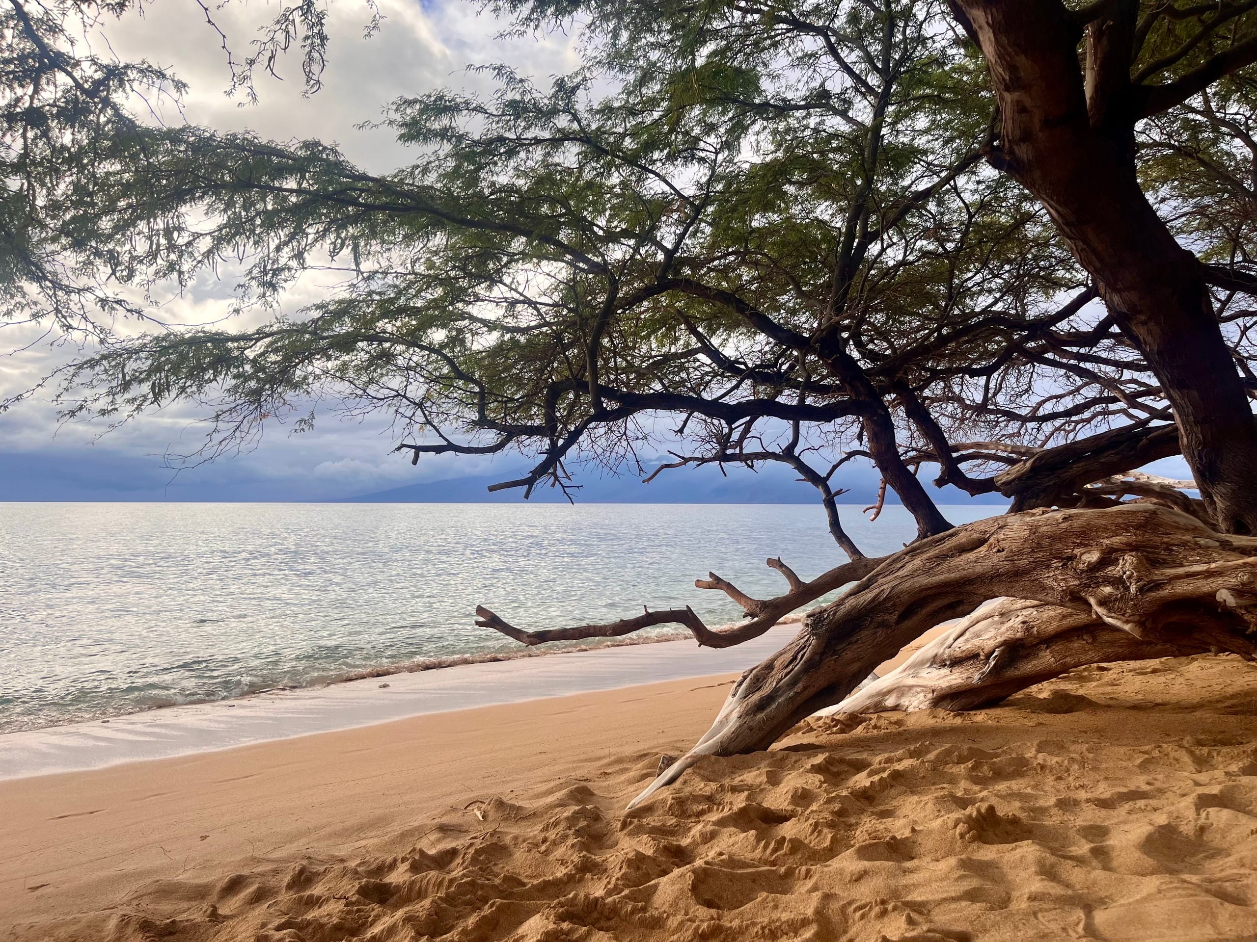 Seaglass Maui - Tranquil Oasis Near the Ocean - Image 34