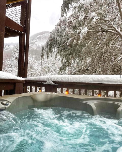 Incredible waterfall mtn views| HotTub| FencedYARD