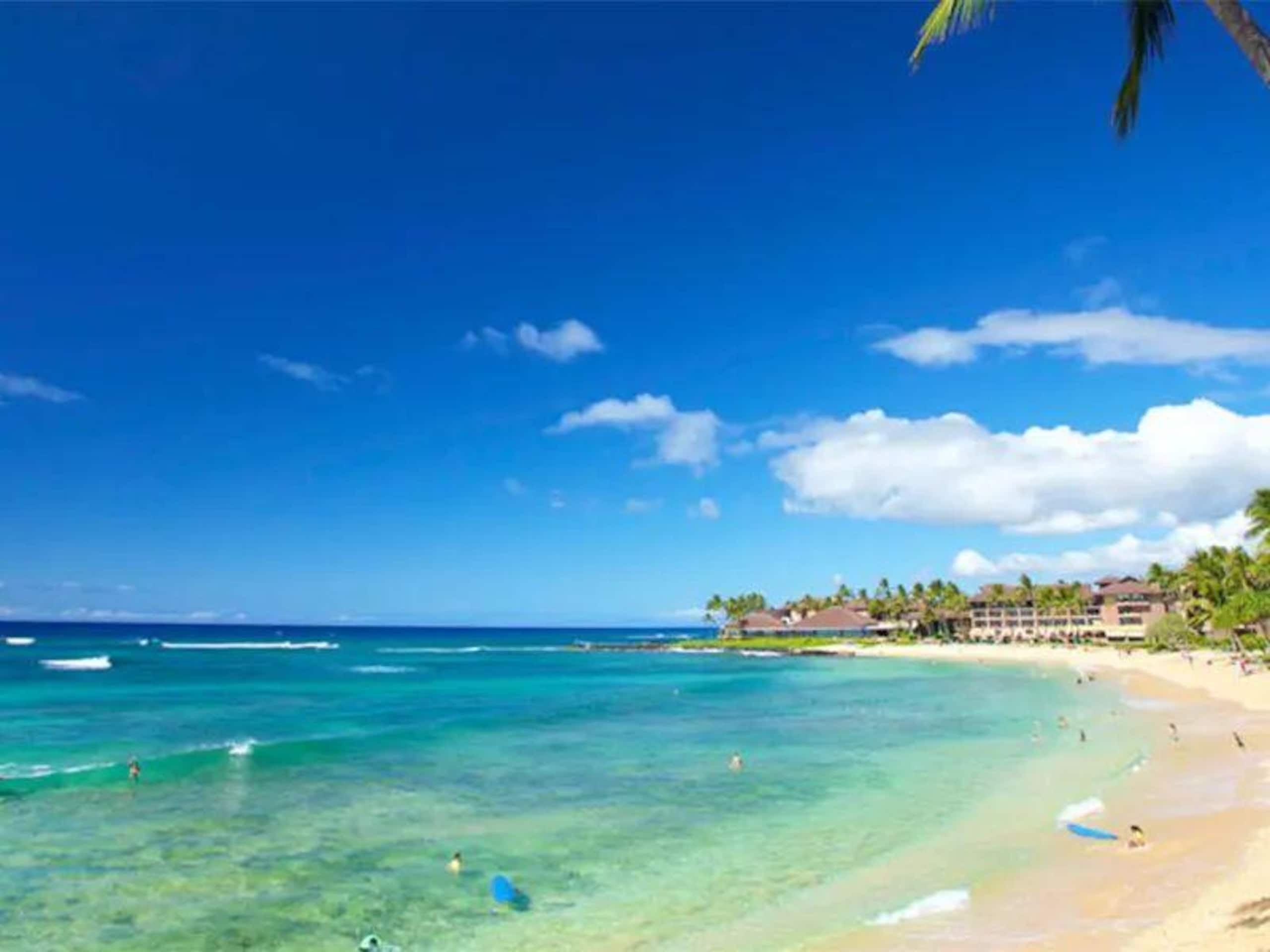 Condo in Koloa · ★4.77 · 1 bedroom · 2 beds · 1 private bath - Image 19