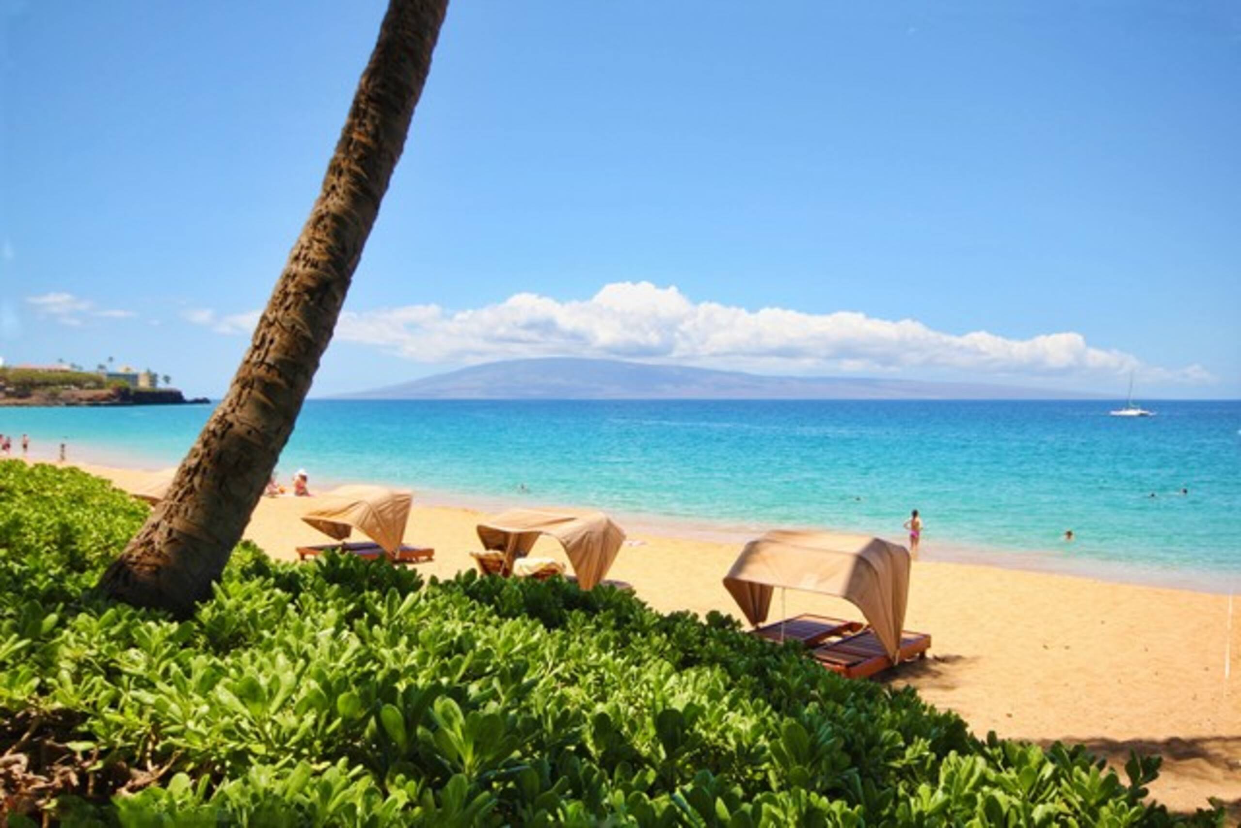 Condo in Lahaina · ★4.91 · 2 bedrooms · 3 beds · 2 baths - Image 43