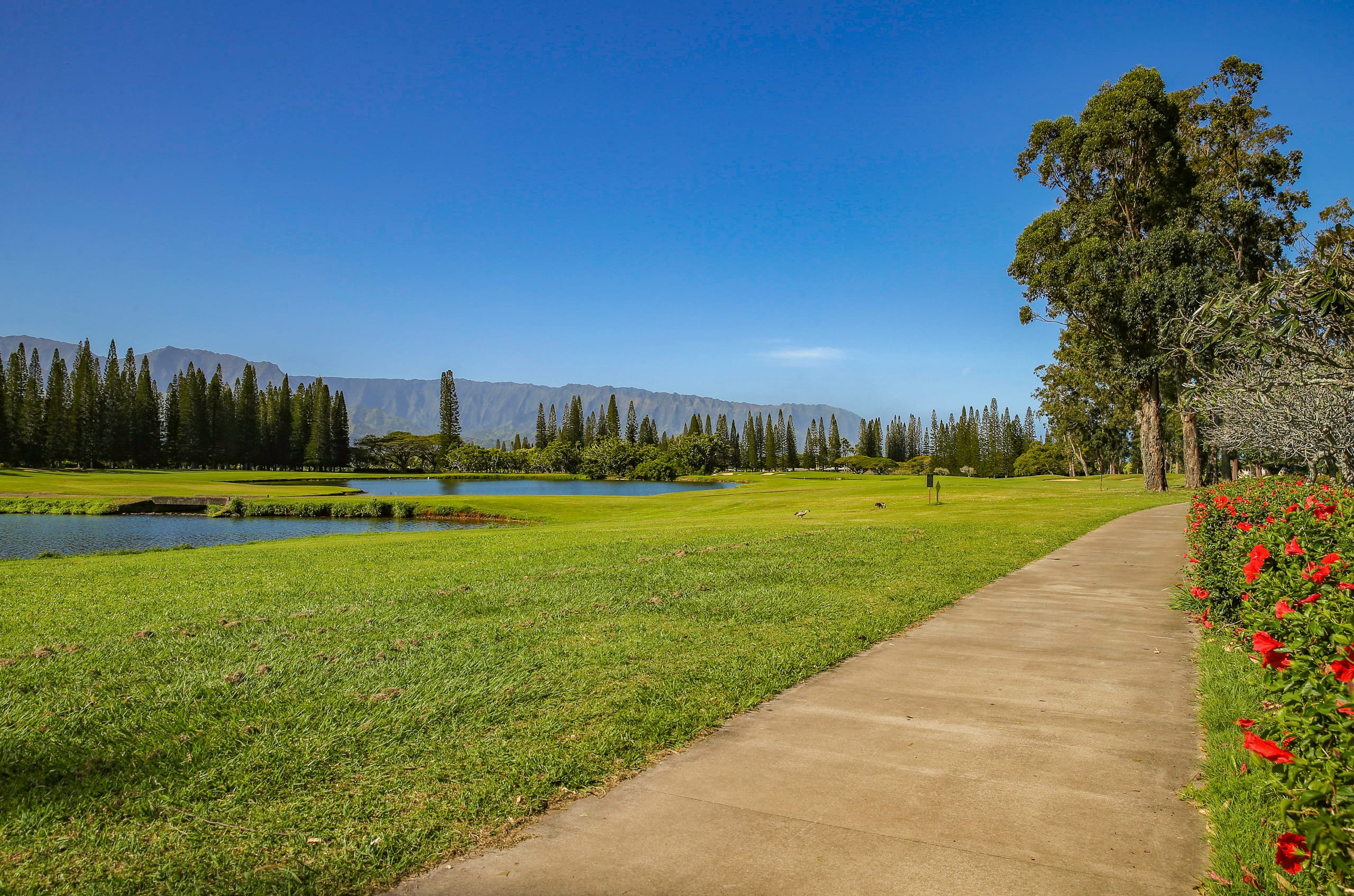 Townhouse in Princeville · ★4.95 · 3 bedrooms · 3 beds · 2.5 private baths - Image 43