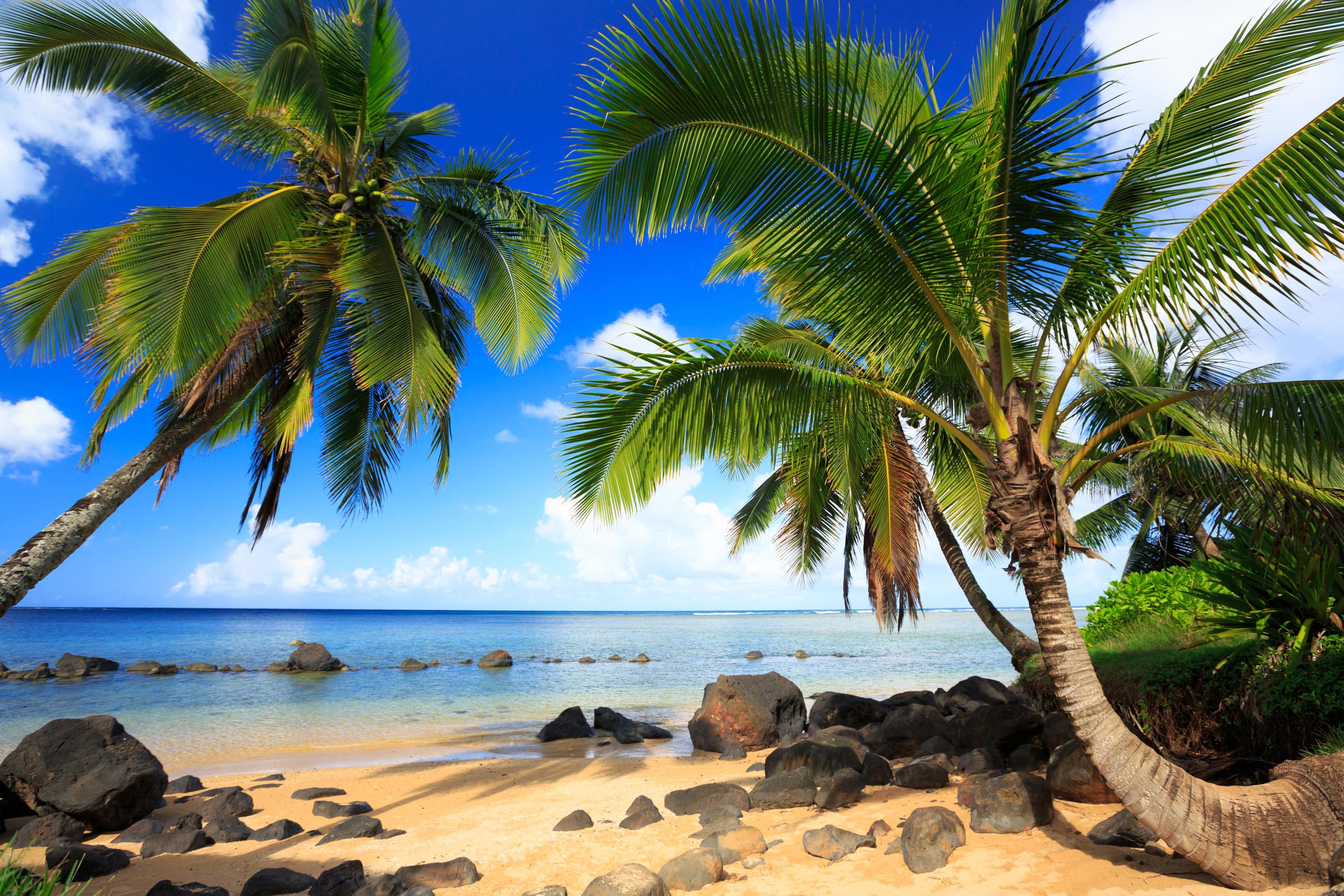 Townhouse in Princeville · ★4.95 · 3 bedrooms · 3 beds · 2.5 private baths - Image 53
