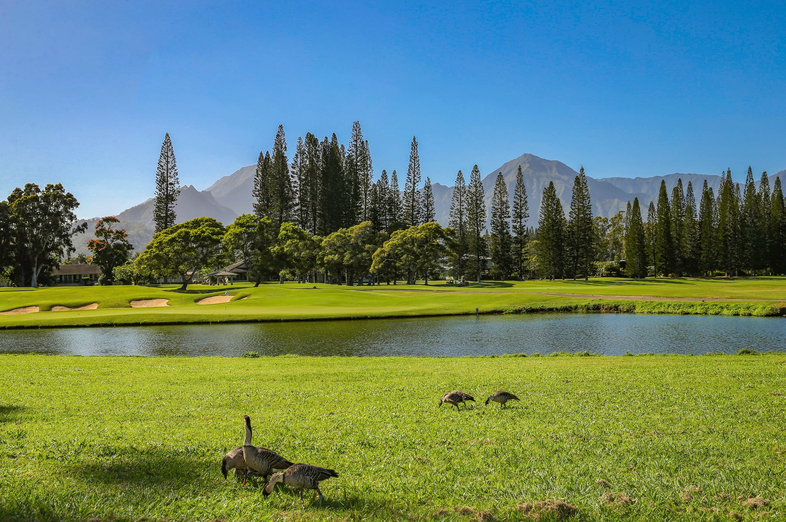Townhouse in Princeville · ★4.95 · 3 bedrooms · 3 beds · 2.5 private baths - Image 42