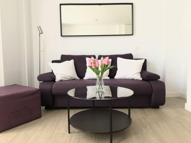 Destino Invest Málaga SL managed Airbnb listing 1