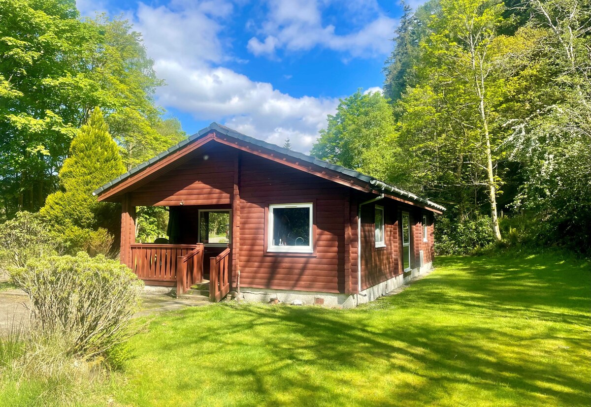 The cabin is surrounded by lush greenery and tall trees, featuring a bright exterior with large windows. A small balcony patio is visible, extending from the entry. The well-kept lawn complements the natural setting, providing a peaceful outdoor space.