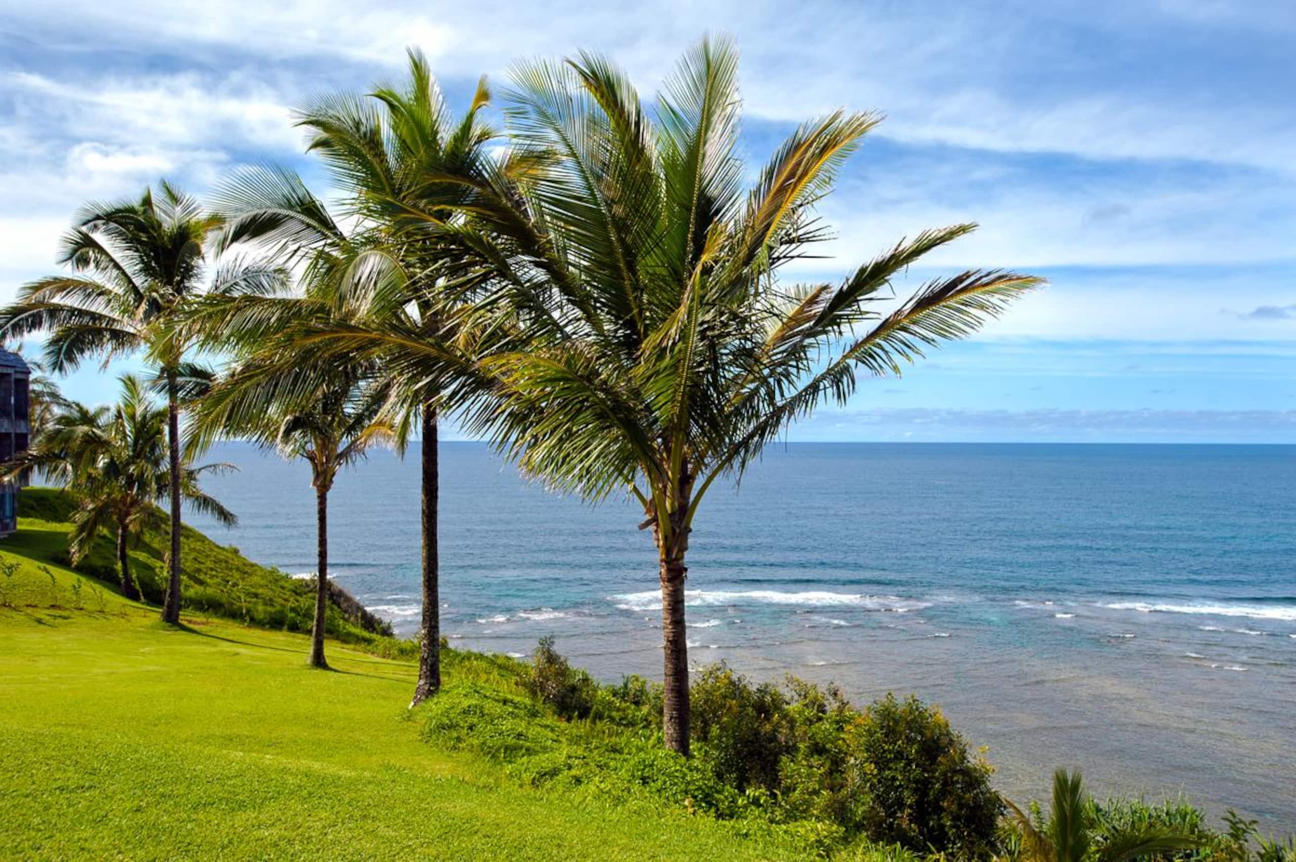 Cozy Coastal Hideaway w/ Lanai & Ocean Views - Photo 22