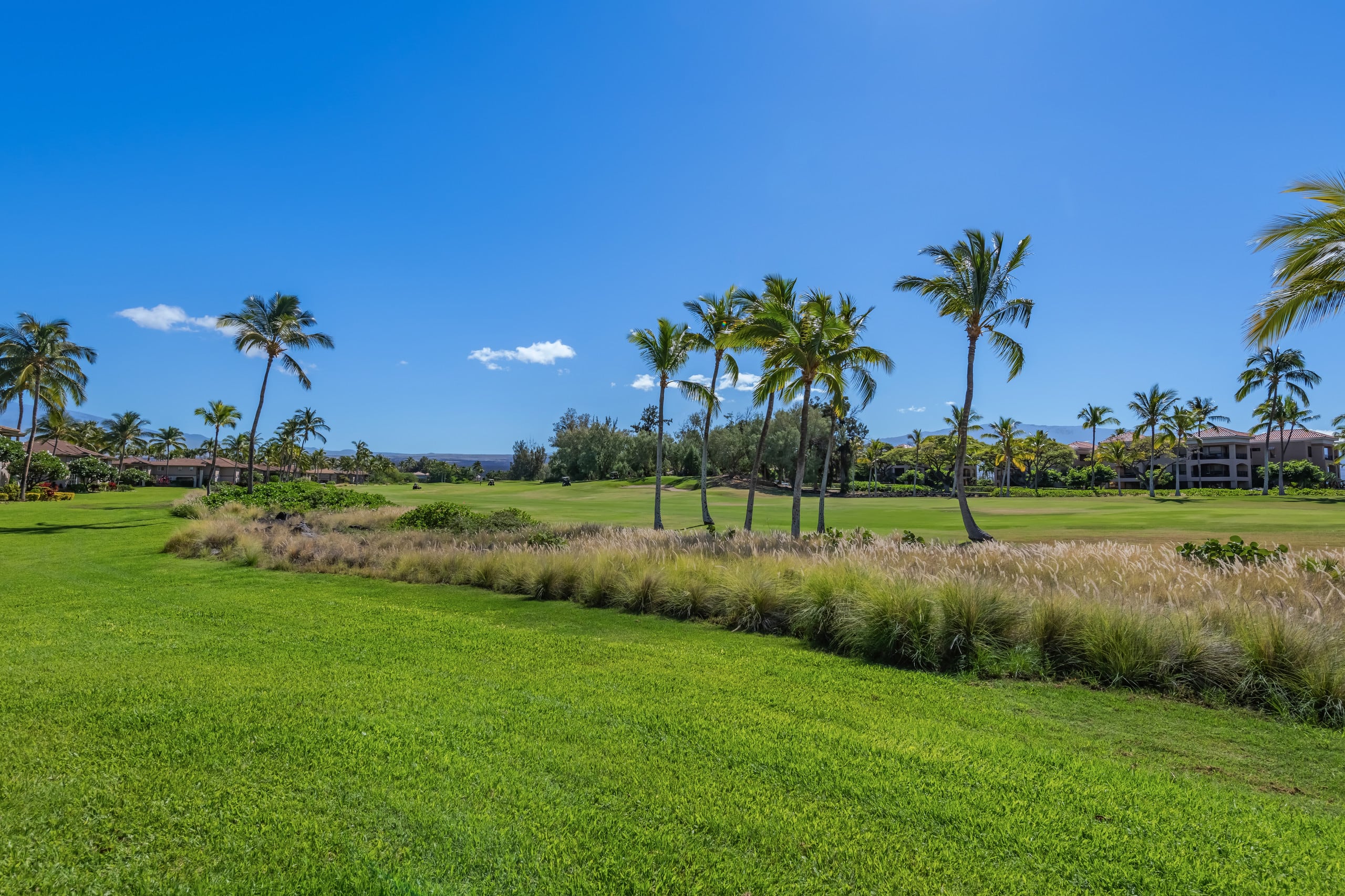 Waikoloa Colony Villas 403Last-Minute Summer Deal - Photo 35