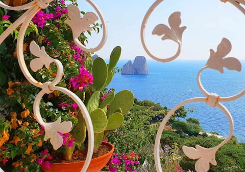 Proprietà Airbnb di successo: VILLA MARINA PETIT ai FARAGLIONI a Capri