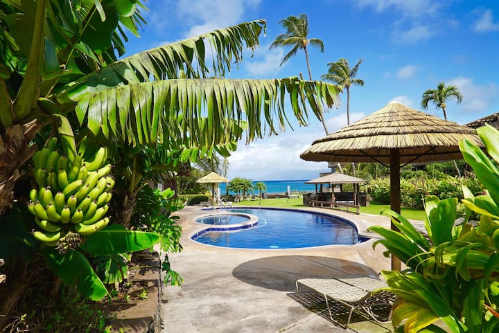 Stunning Ocean Views- Sleeps 6- Kahana Sunset E11 - Condominiums