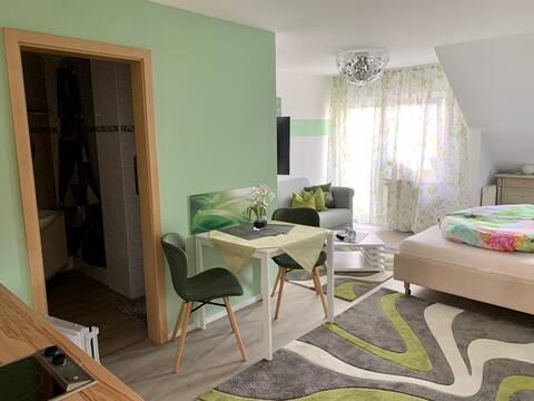 Erfolgreiche Airbnb-Immobilie: Haus Bodanblick, (Bodman-Ludwigshafen), 1-room apartment, 36 sqm, 1 living/bedroom, balcony, max. 2 people in Bodman Ludwigshafen