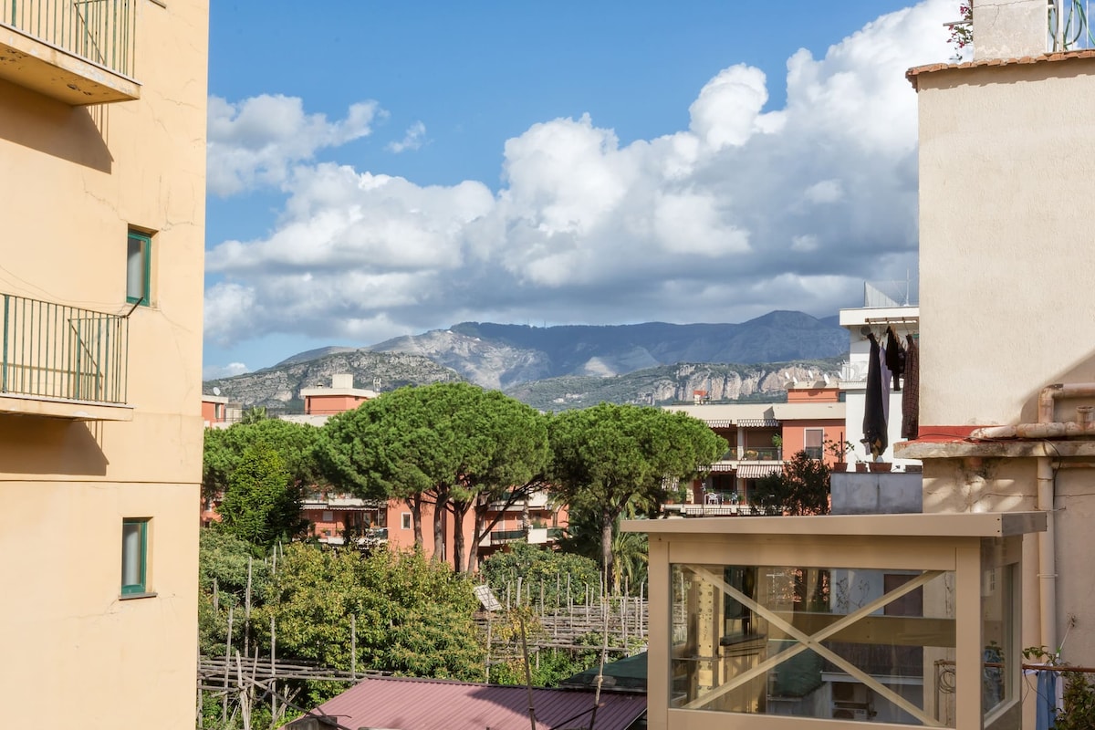 A view captures the surrounding landscape, featuring green trees and distant mountains under a partly cloudy sky. The foreground includes neighboring buildings, providing a glimpse of the vibrant local environment.