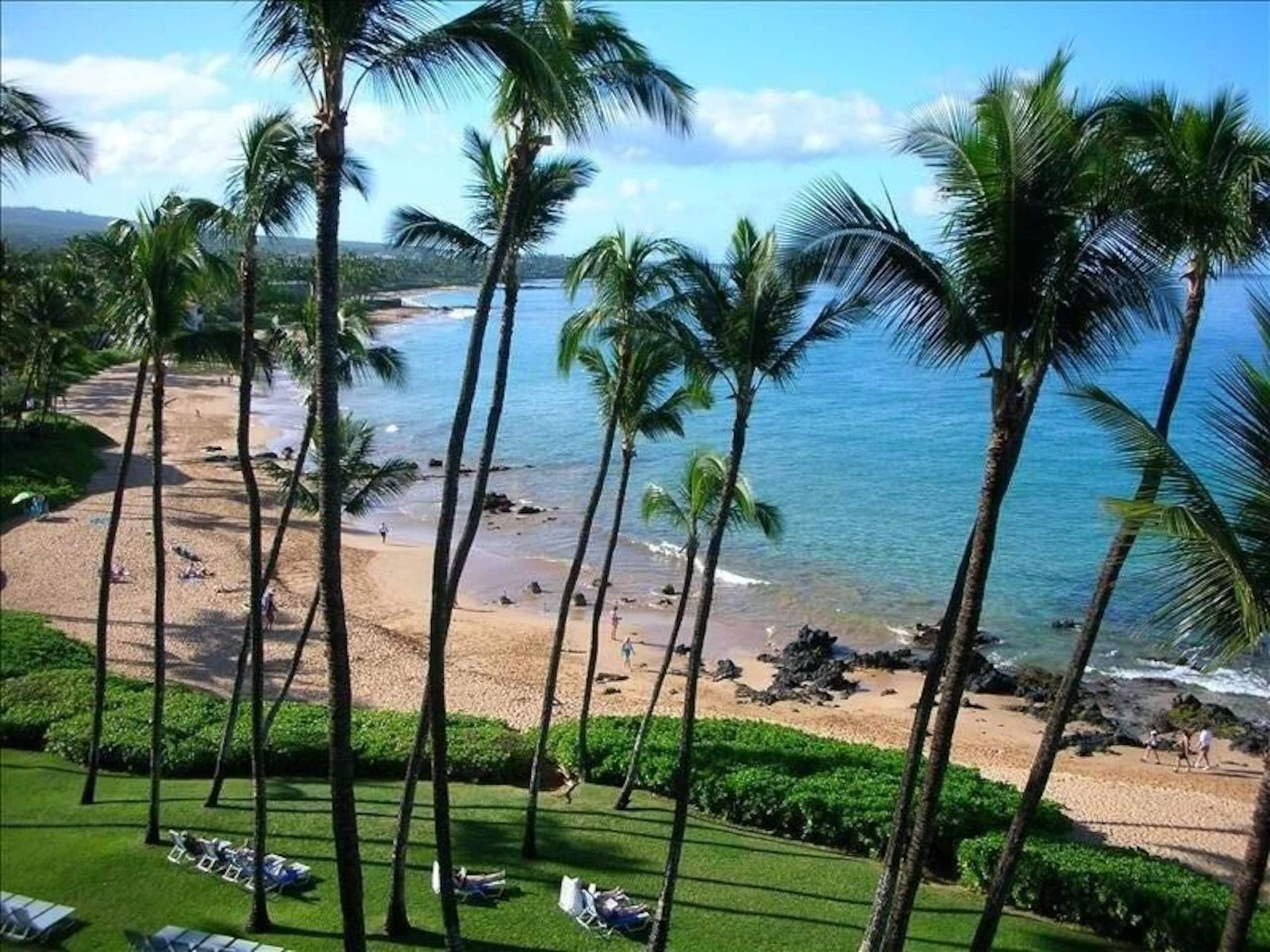 Condo in Kihei · ★4.93 · 2 bedrooms · 2 beds · 2 baths - Image 20