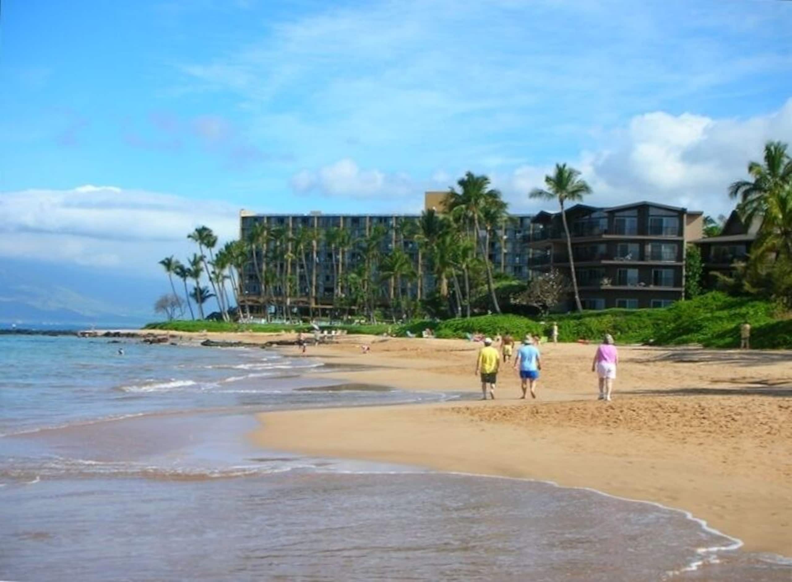 Condo in Kihei · ★4.93 · 2 bedrooms · 2 beds · 2 baths - Image 16