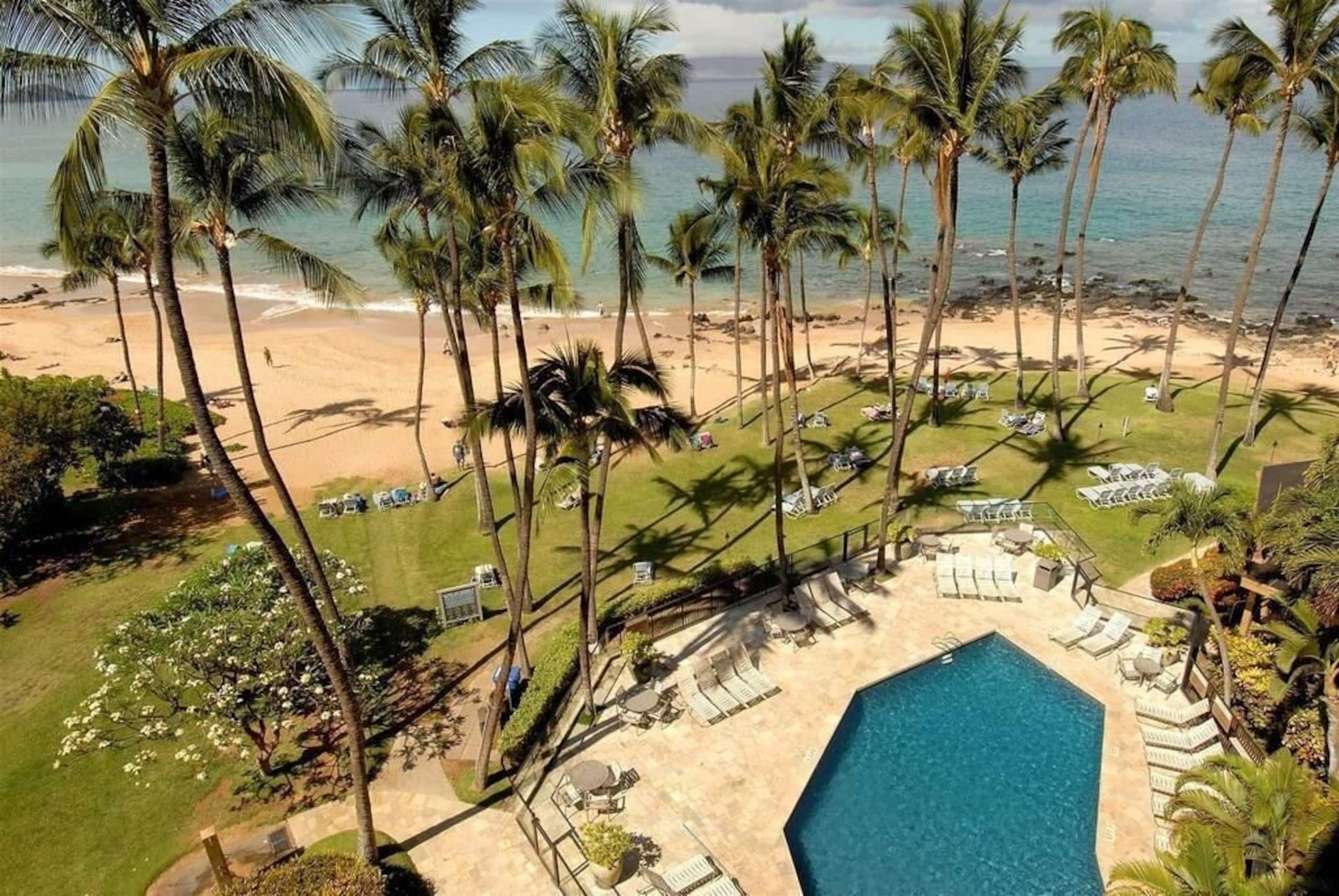 Condo in Kihei · ★4.93 · 2 bedrooms · 2 beds · 2 baths - Image 25