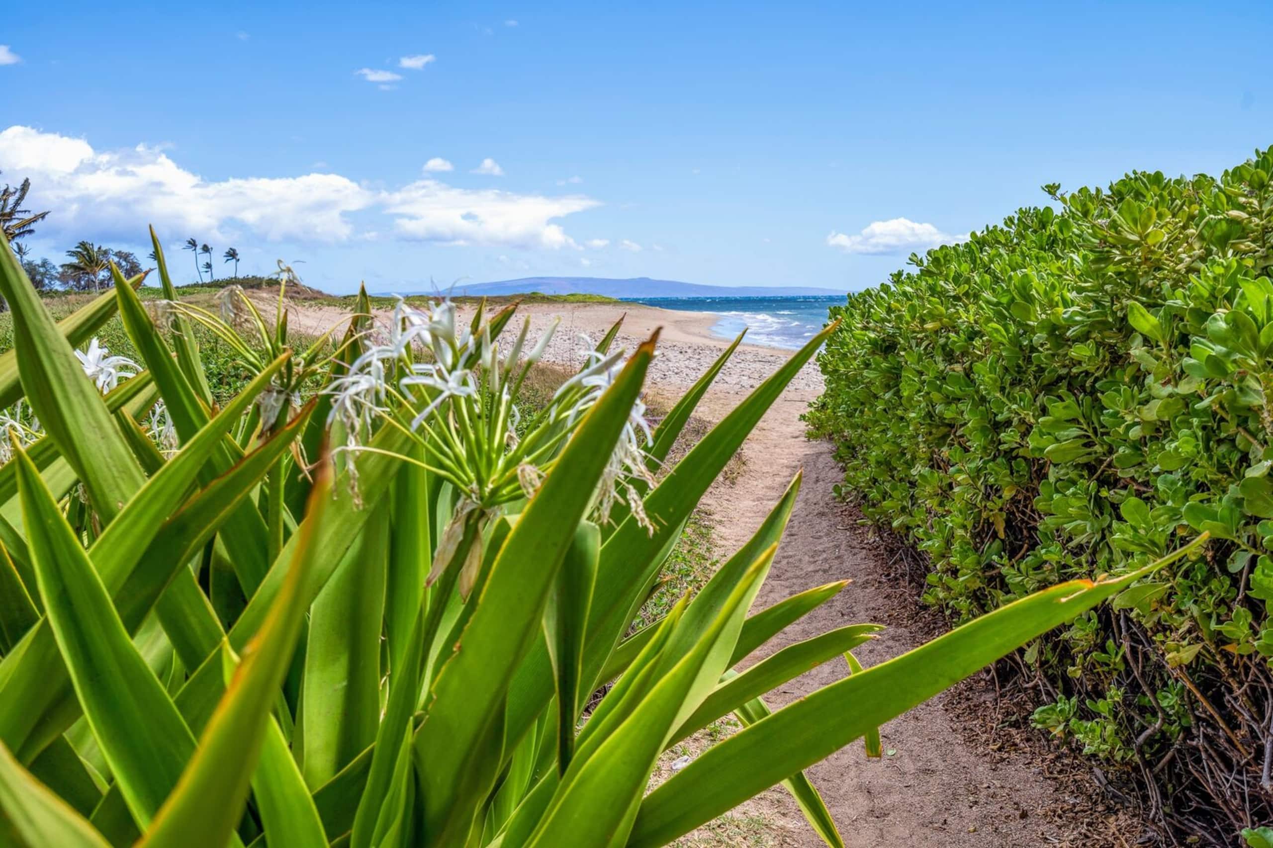 Condo in Kihei · ★4.77 · 2 bedrooms · 2 beds · 2 baths - Image 31