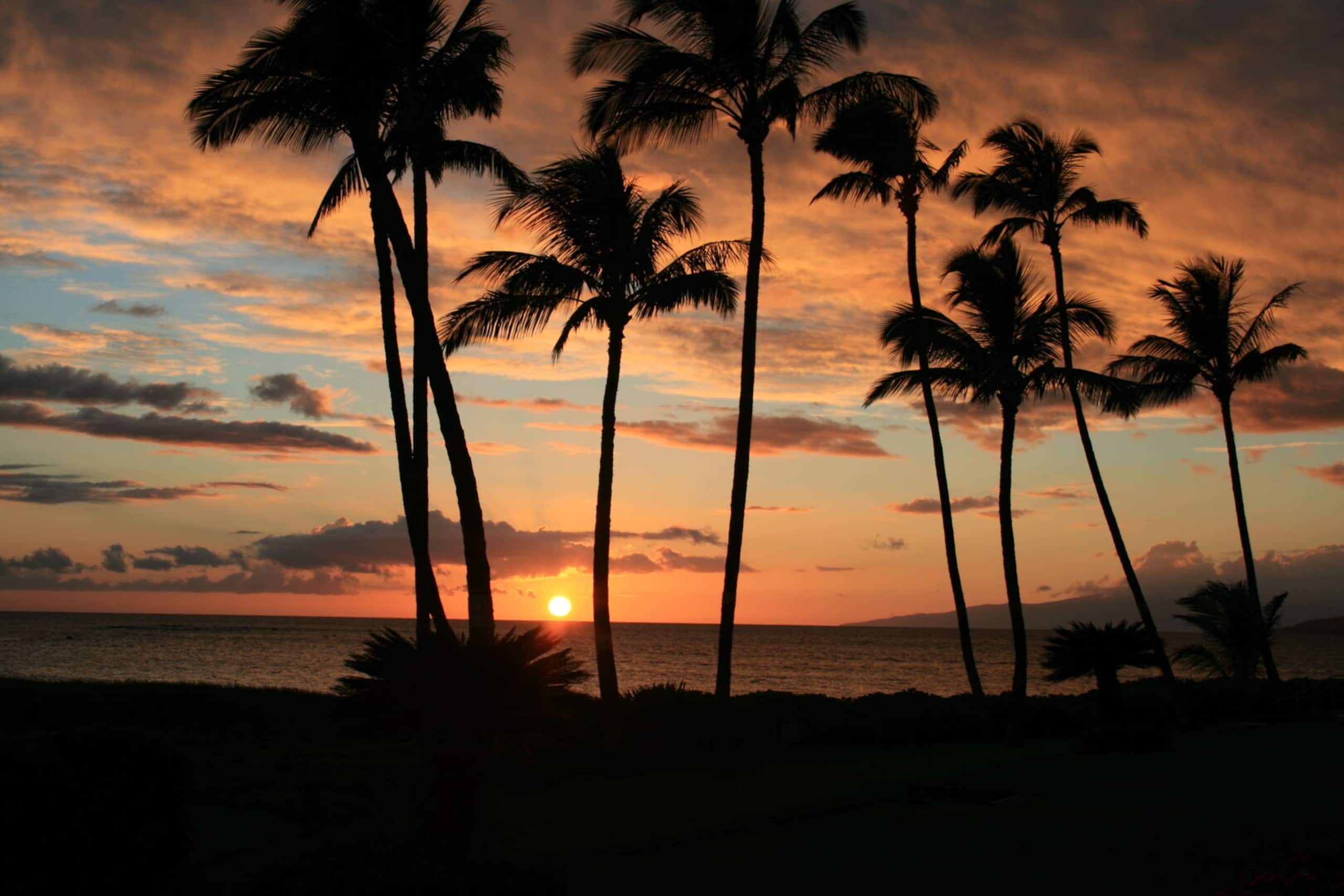 Condo in Kihei · ★4.77 · 2 bedrooms · 2 beds · 2 baths - Image 6