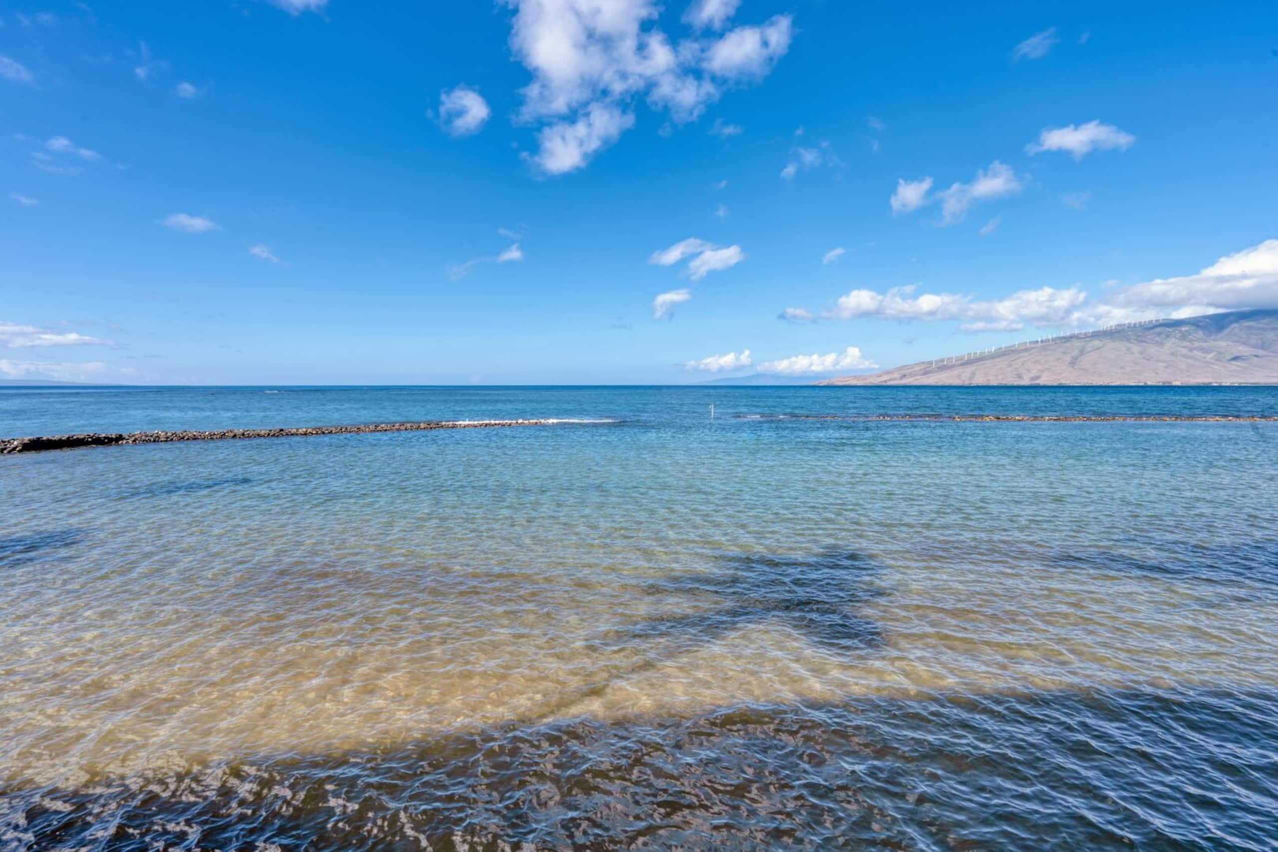 Condo in Kihei · ★4.77 · 2 bedrooms · 2 beds · 2 baths - Image 40