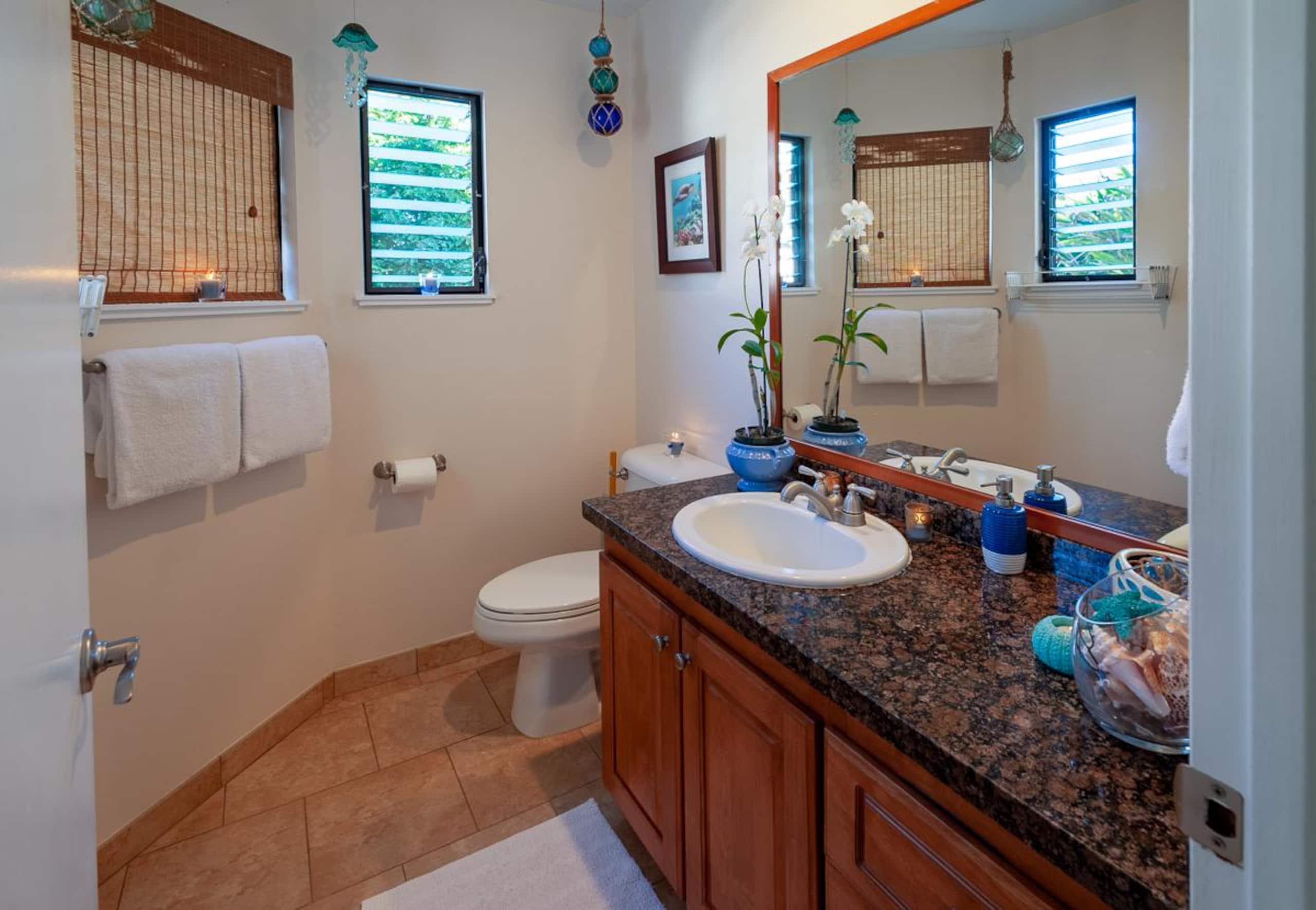 Home in Princeville · ★4.91 · 2 bedrooms · 2 beds · 2 baths - Image 21