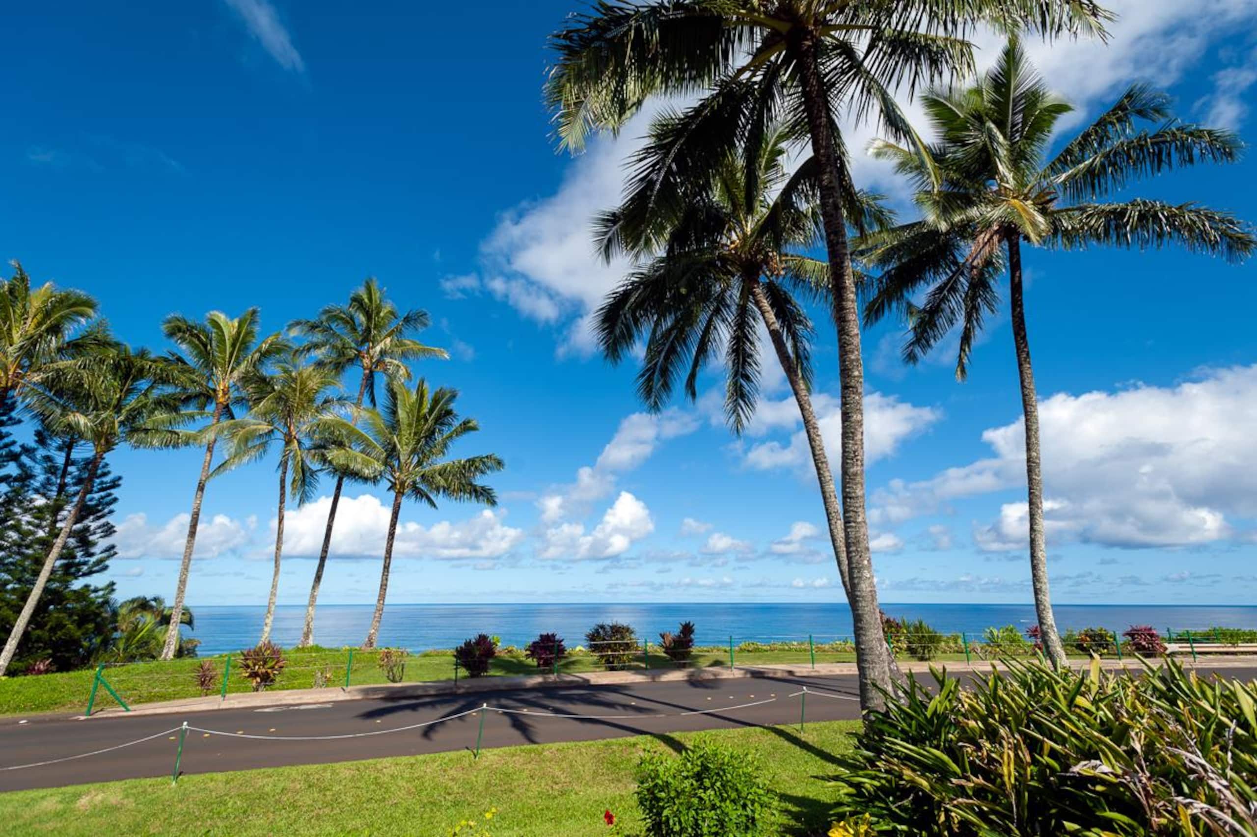 Home in Princeville · ★4.91 · 2 bedrooms · 2 beds · 2 baths - Image 31