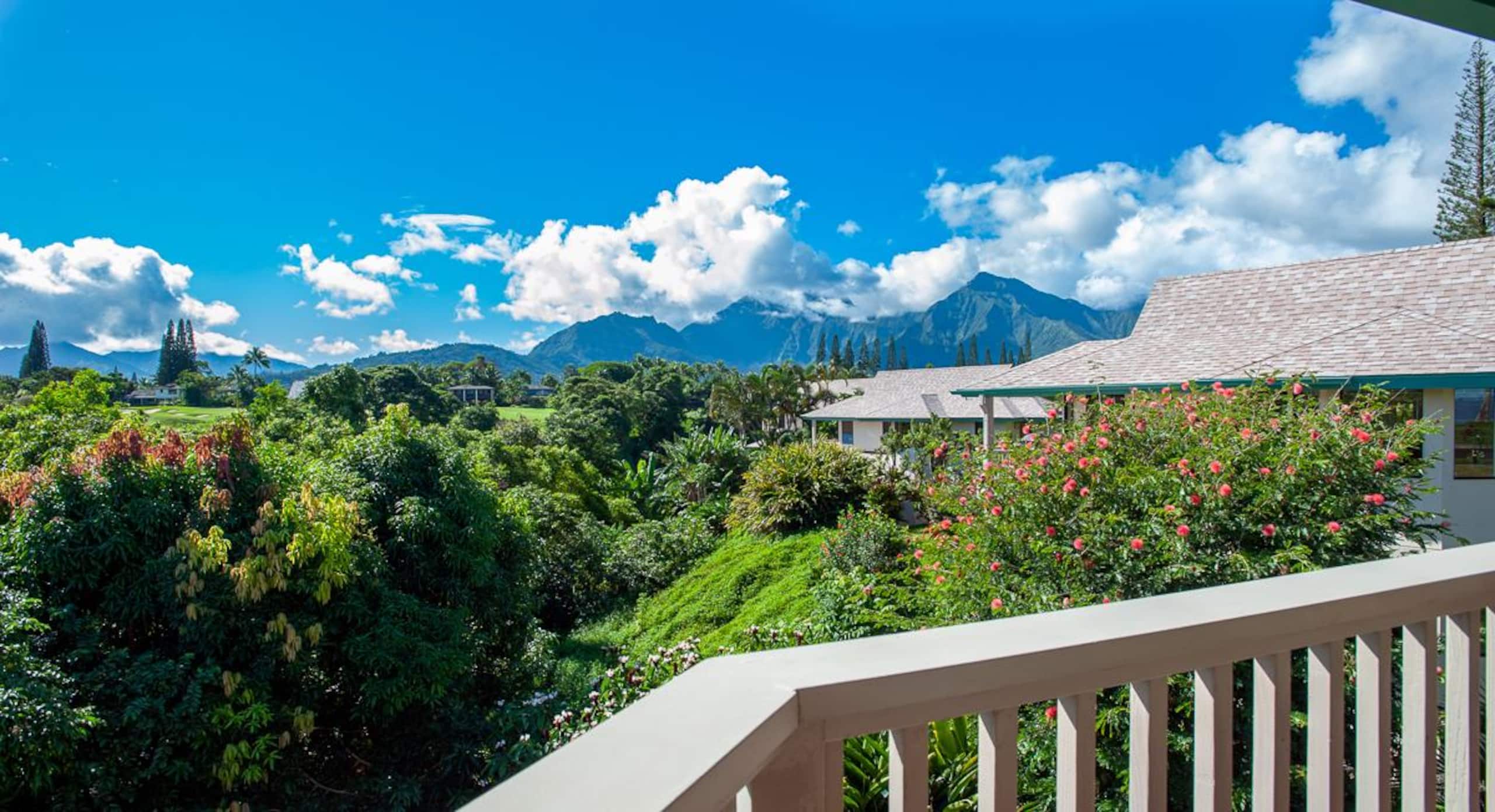 Home in Princeville · ★4.91 · 2 bedrooms · 2 beds · 2 baths - Image 7