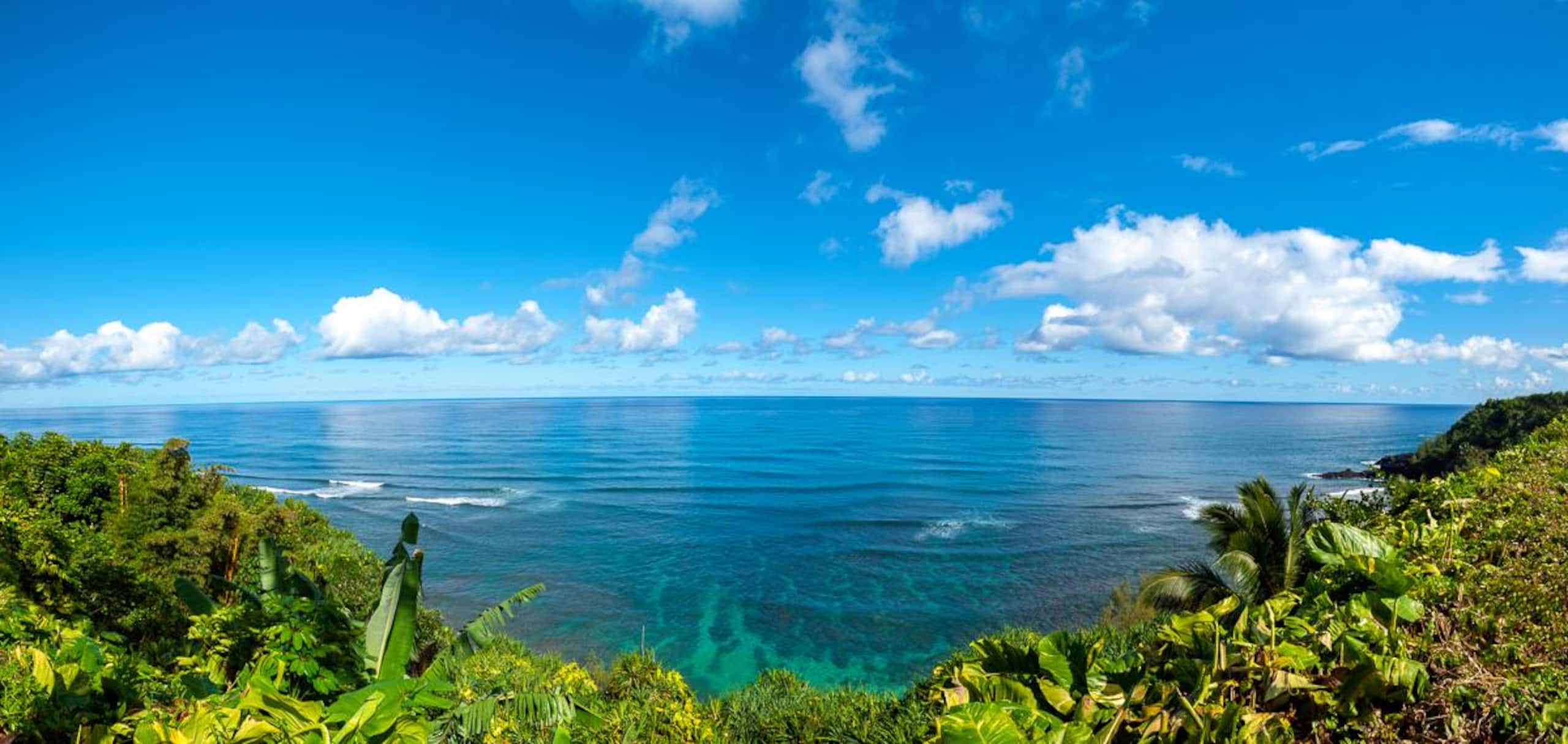 Home in Princeville · ★4.91 · 2 bedrooms · 2 beds · 2 baths - Image 32