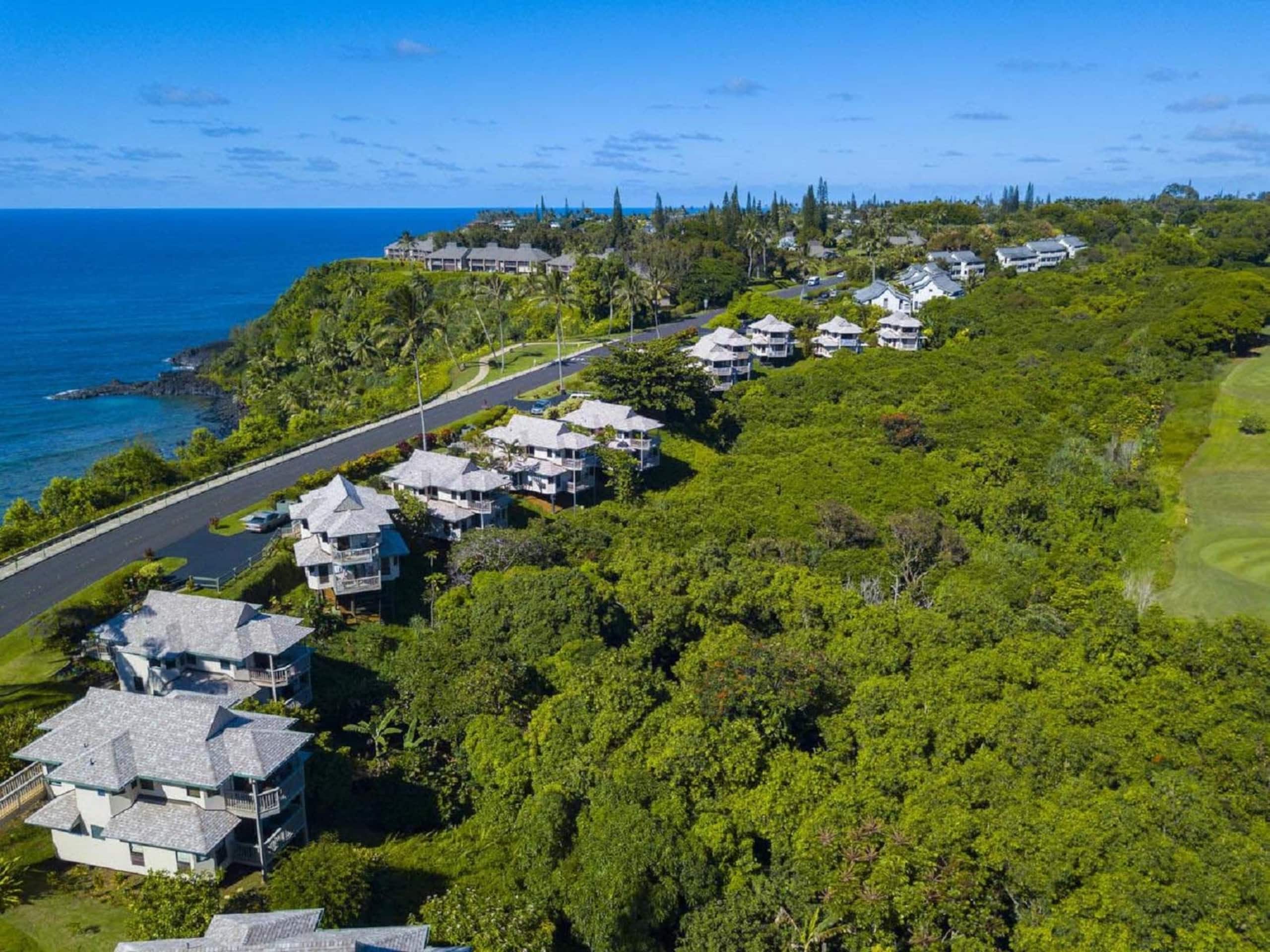 Home in Princeville · ★4.91 · 2 bedrooms · 2 beds · 2 baths - Image 30