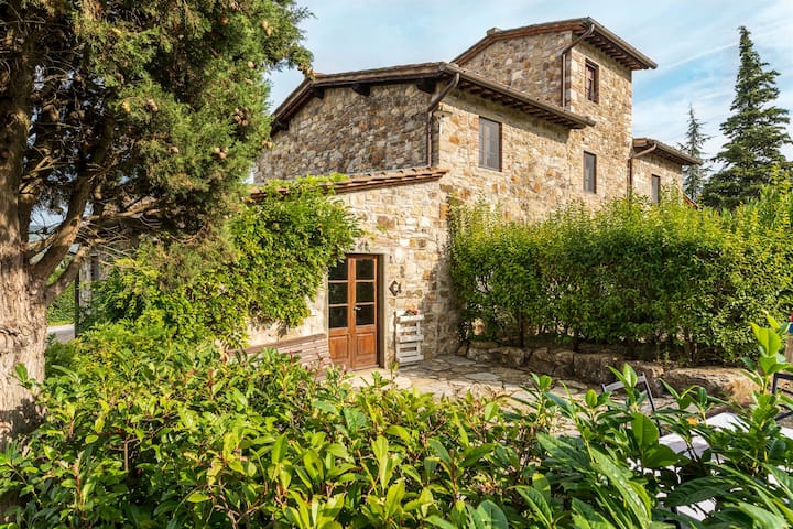 Ulivo, Ceperano, Radda In Chianti, Siena And Chianti - Monti del Chianti