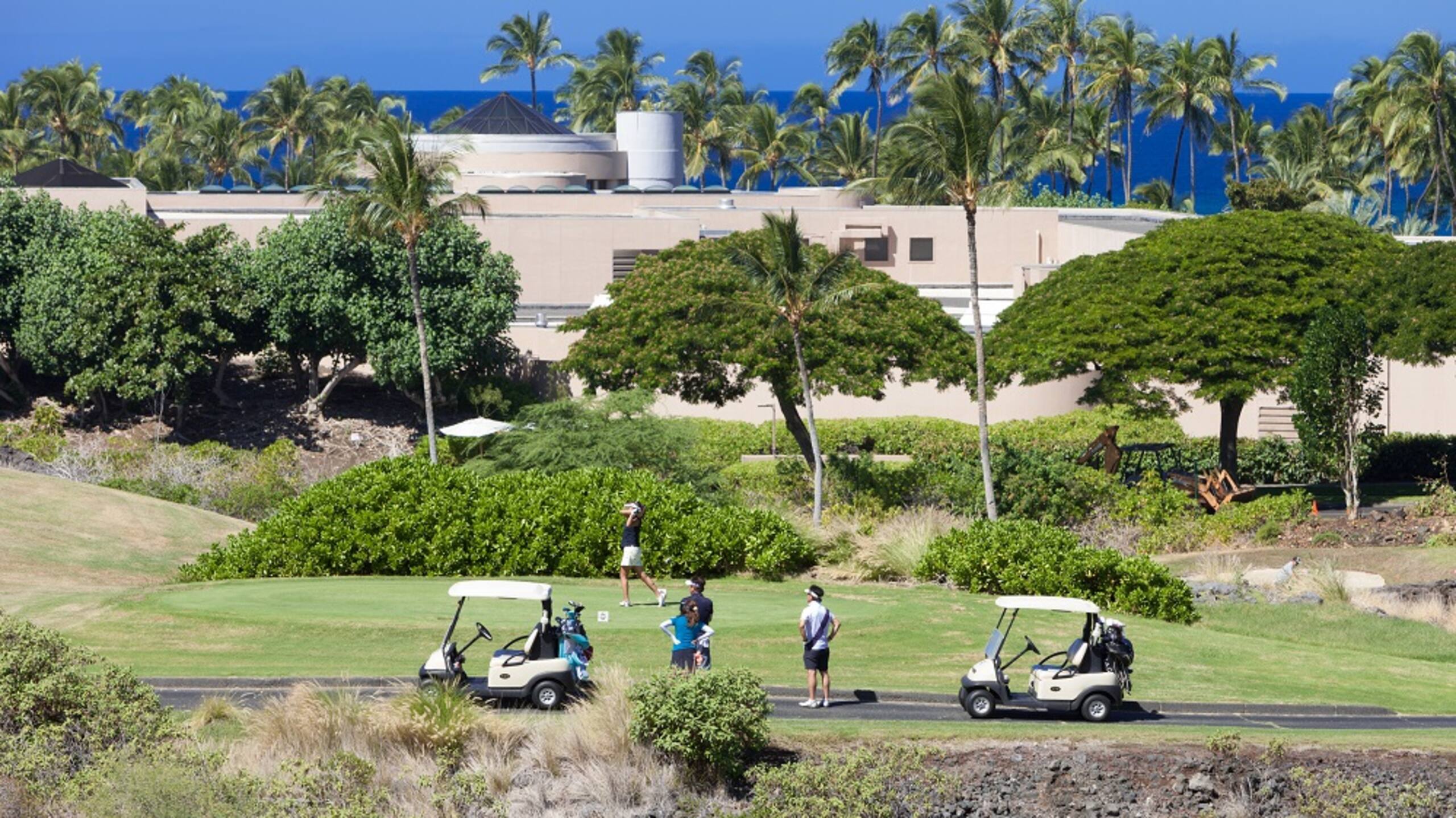 Hilton Pool Pass for 2026 Shores at Waikoloa 306 - Photo 30