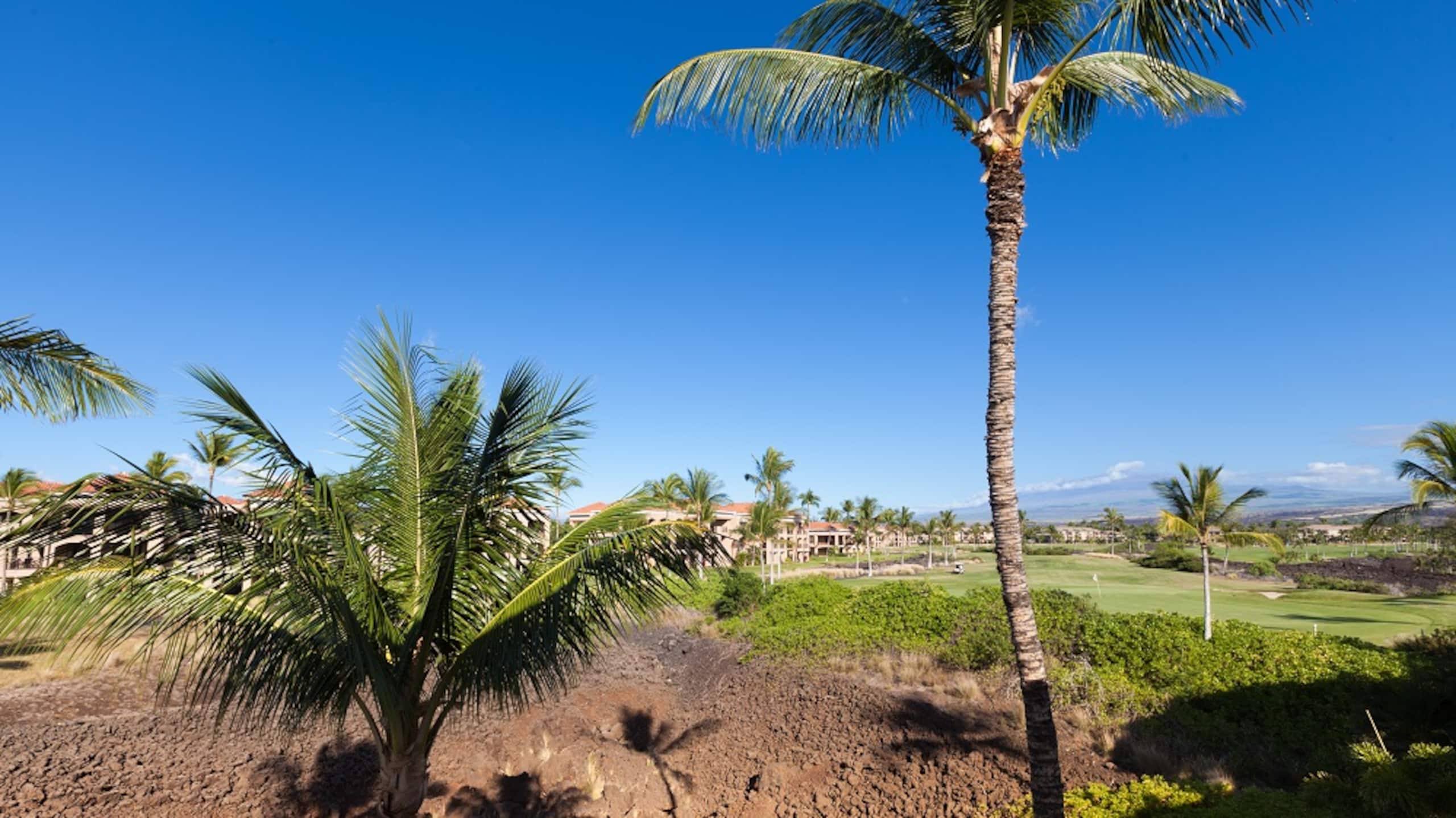 Hilton Pool Pass for 2026 Shores at Waikoloa 306 - Photo 28