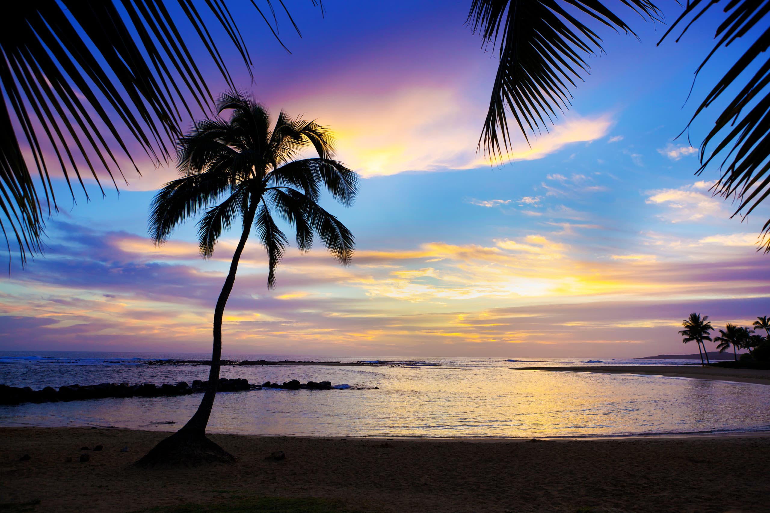 Condo in Koloa · ★4.92 · 2 bedrooms · 3 beds · 3 baths - Image 40