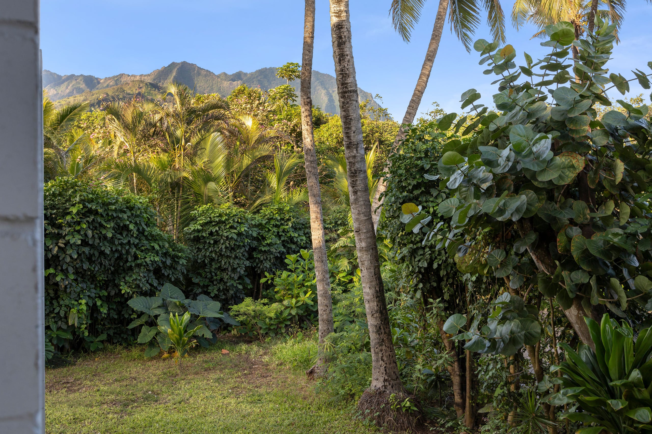 Haena Hale Kauai Beach House - Photo 33