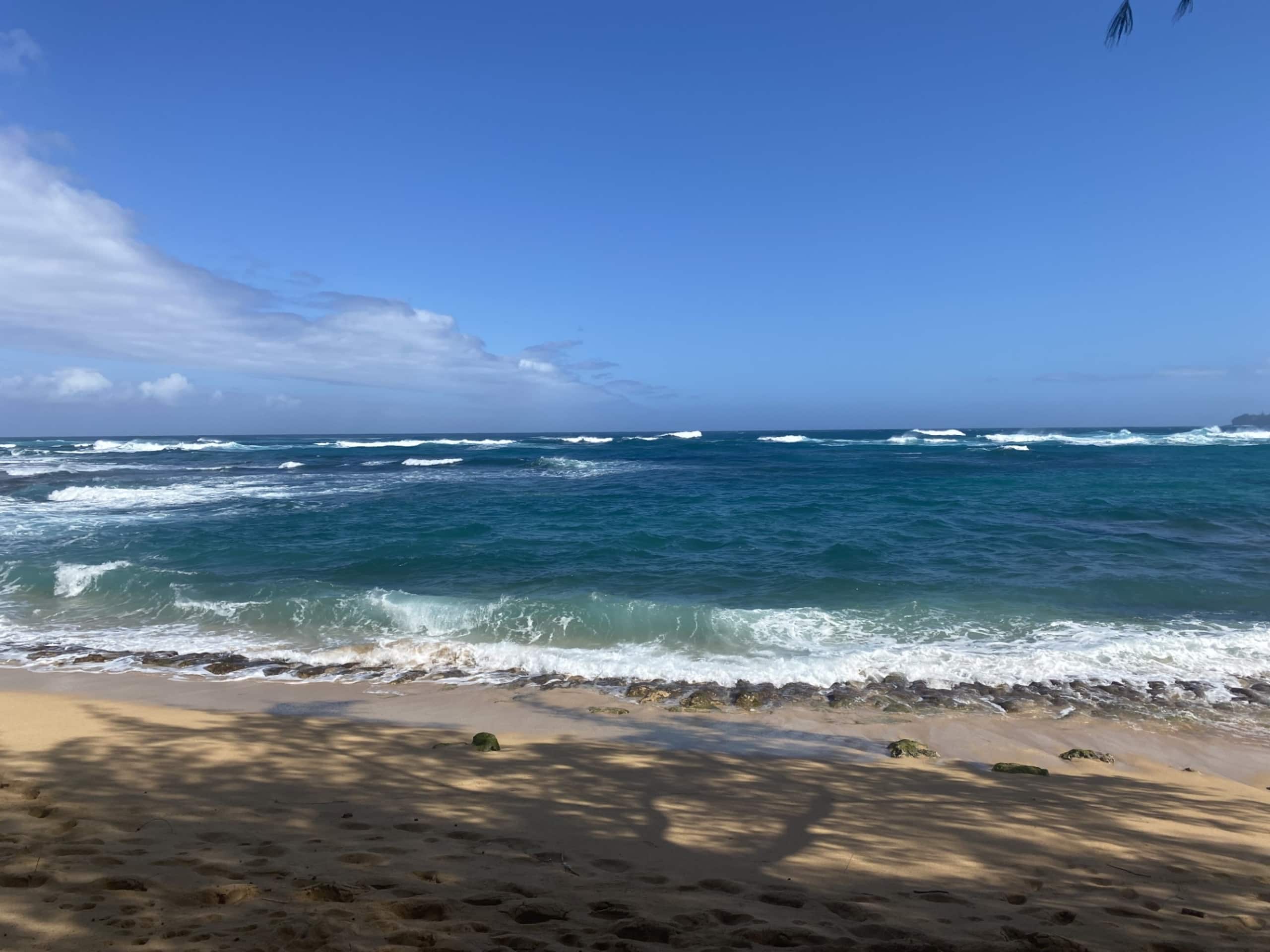 Haena Hale Kauai Beach House - Photo 30
