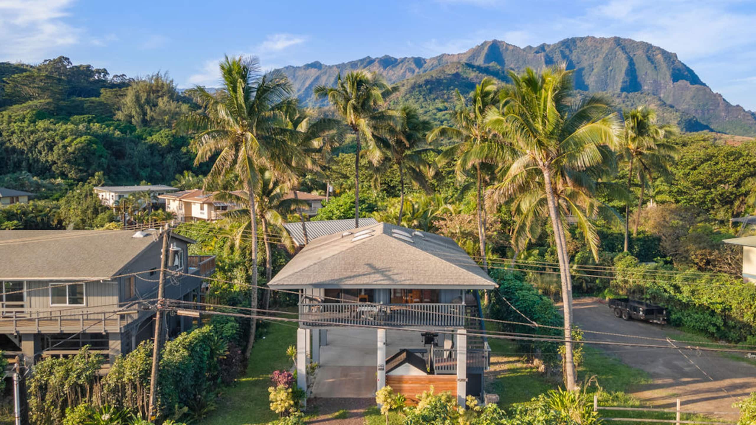 Haena Hale Kauai Beach House - Photo 39
