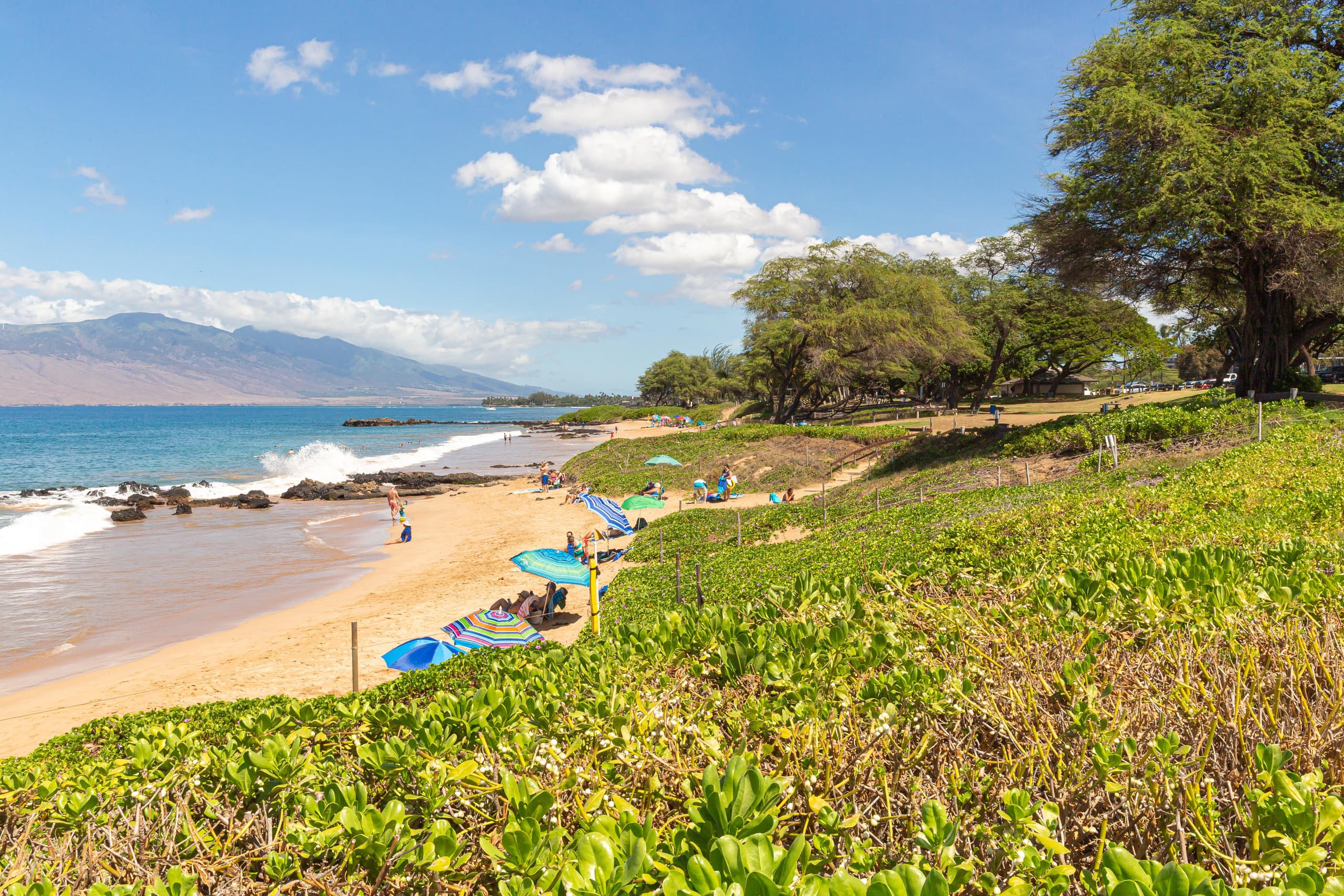 Condo in Kihei · ★4.5 · 1 bedroom · 2 beds · 1 private bath - Image 30