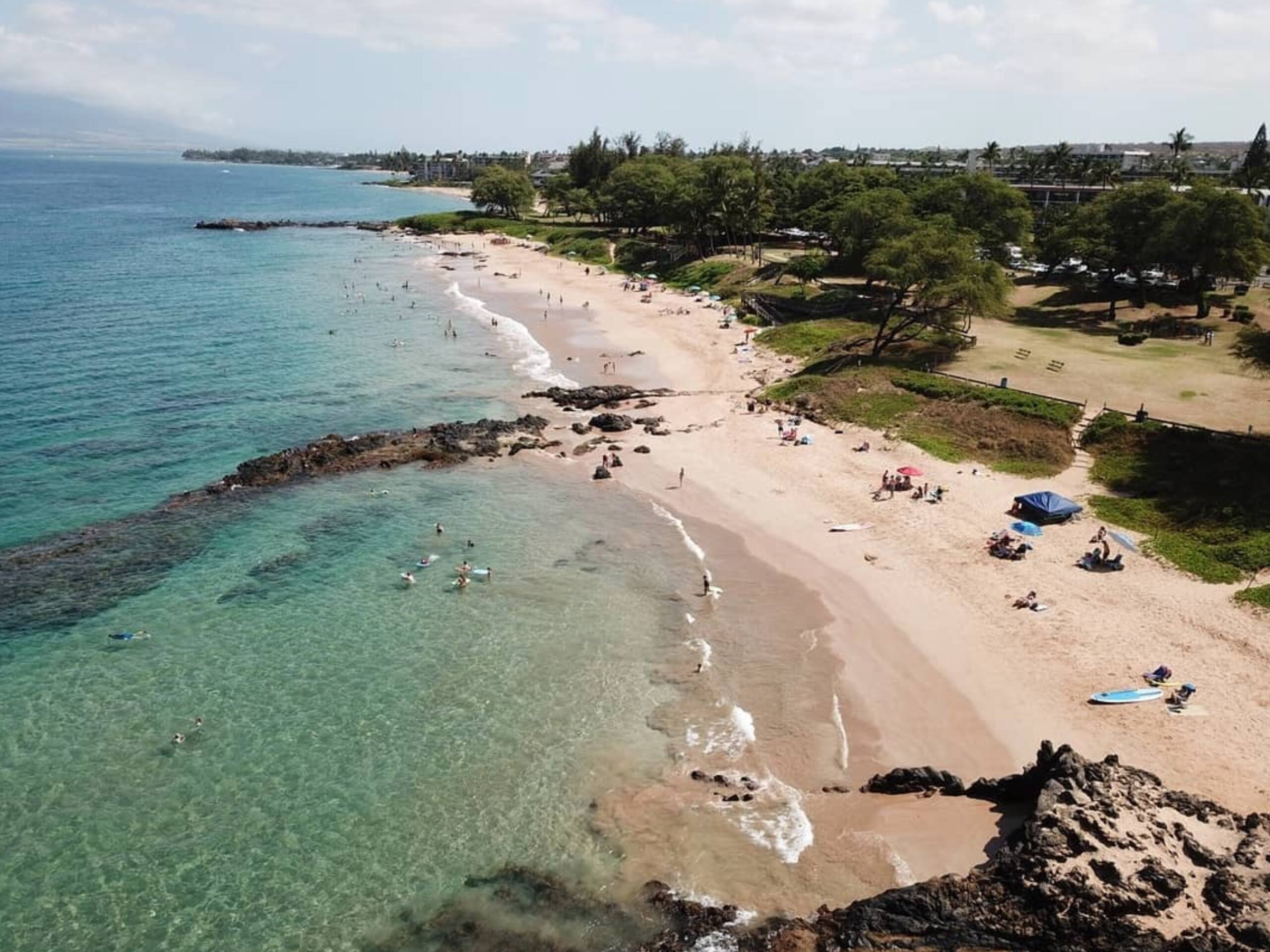 Condo in Kihei · ★4.5 · 1 bedroom · 2 beds · 1 private bath - Image 34
