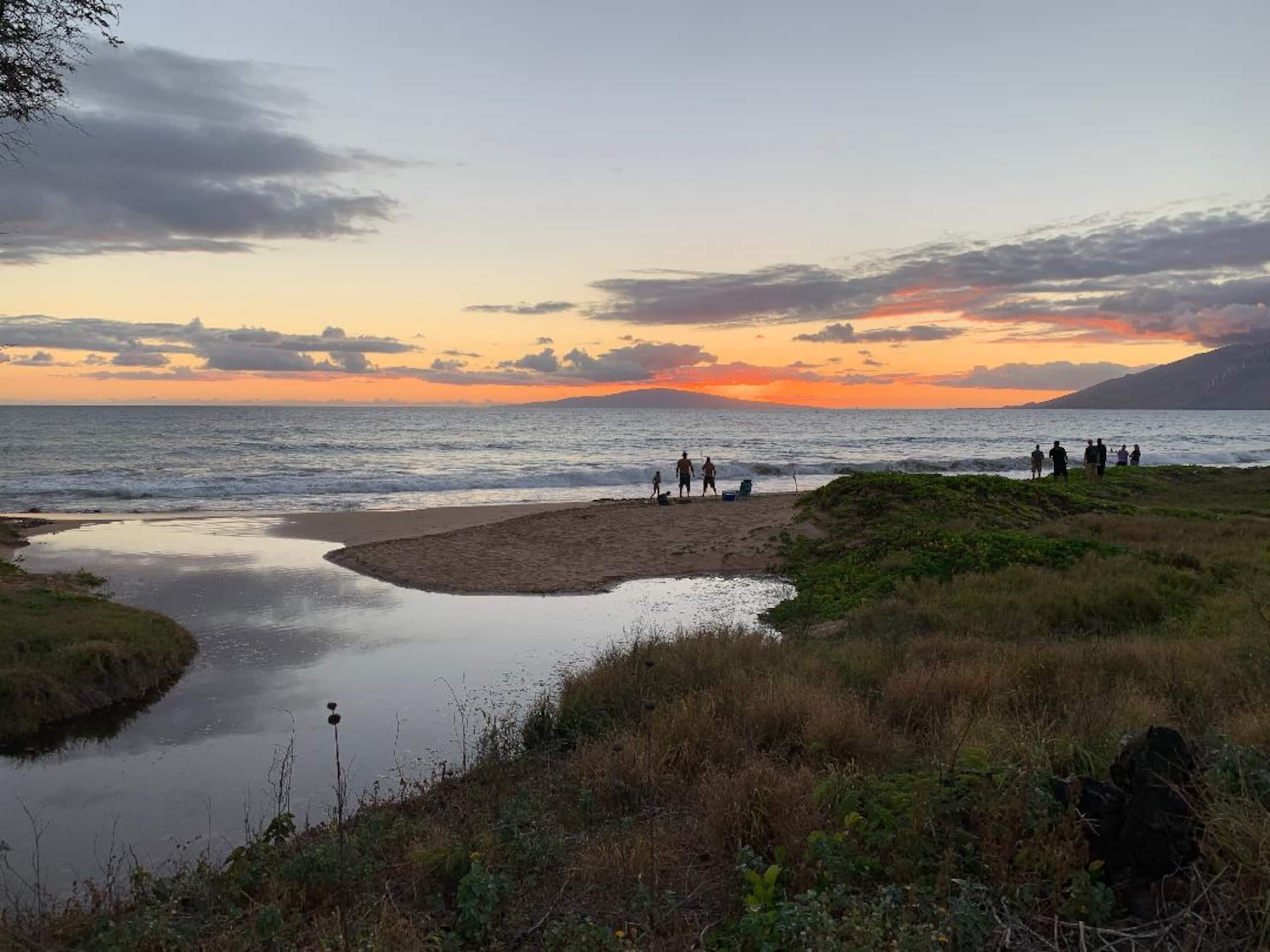 Condo in Kihei · ★4.5 · 1 bedroom · 2 beds · 1 private bath - Image 37