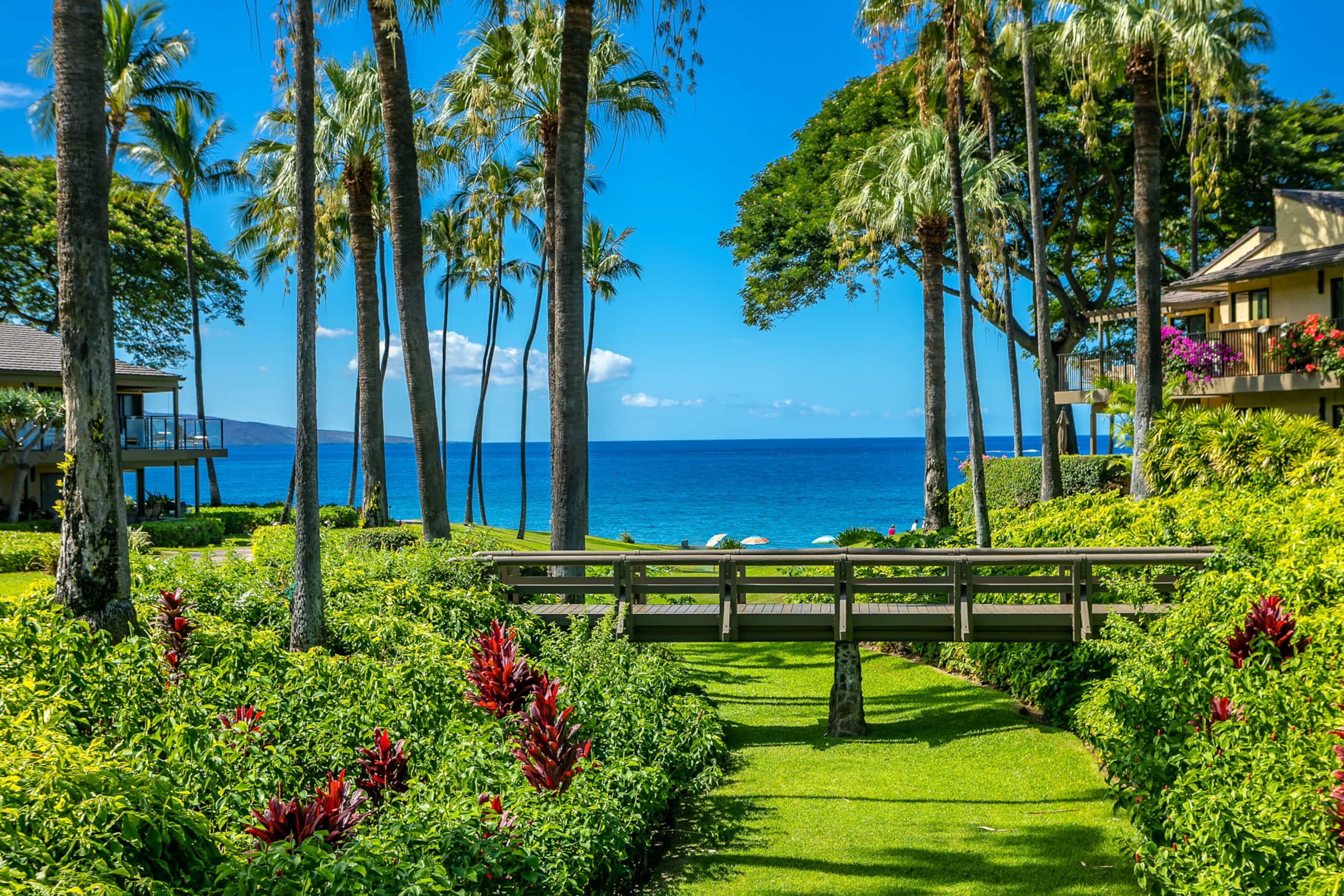 Condo in Kihei · ★4.93 · 2 bedrooms · 3 beds · 2 baths - Image 56