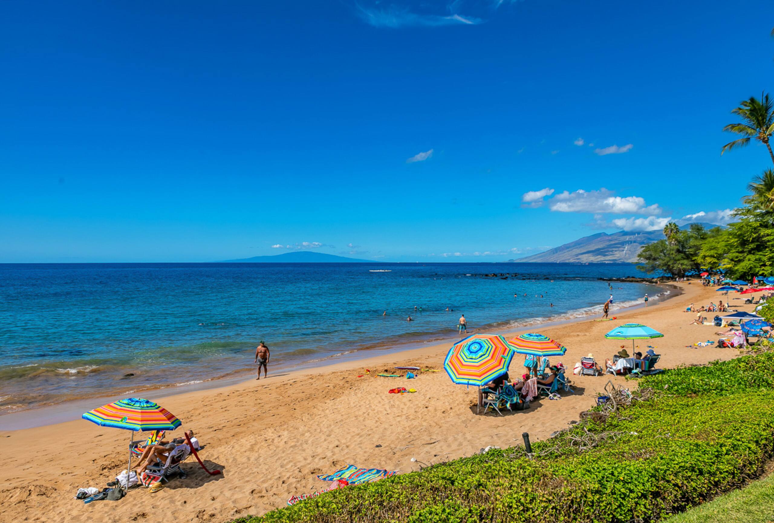 Condo in Kihei · ★4.93 · 2 bedrooms · 3 beds · 2 baths - Image 53